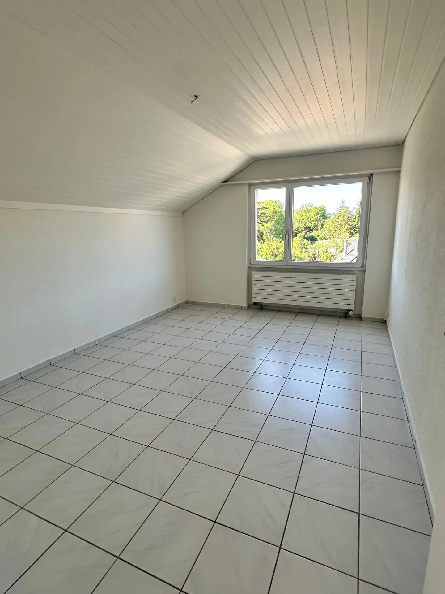 Appartement sous les combles spacieux à Schwadernau - Photo 3 sur 11
