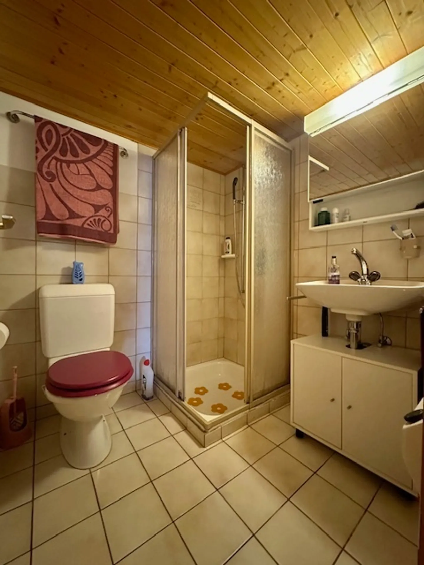 Furnished 3-room Rustico in historic Corippo (Verzasca Valley) - Photo 10 of 16