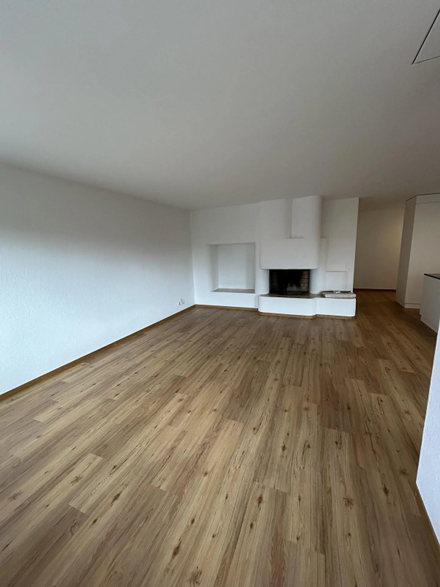 Freshly renovated 4.5-room apartment - Photo 3 of 13