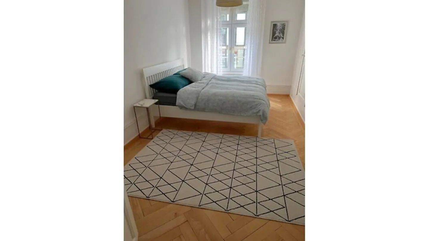 3-ROOM APARTMENT IN BIEL/BIENNE (BE), FURNISHED, FIXED TERM - Photo 6 of 10