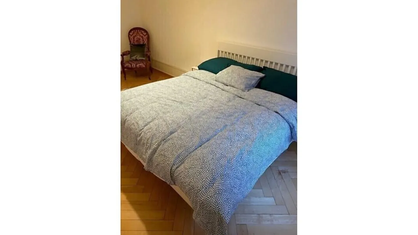 3-ROOM APARTMENT IN BIEL/BIENNE (BE), FURNISHED, FIXED TERM - Photo 7 of 10