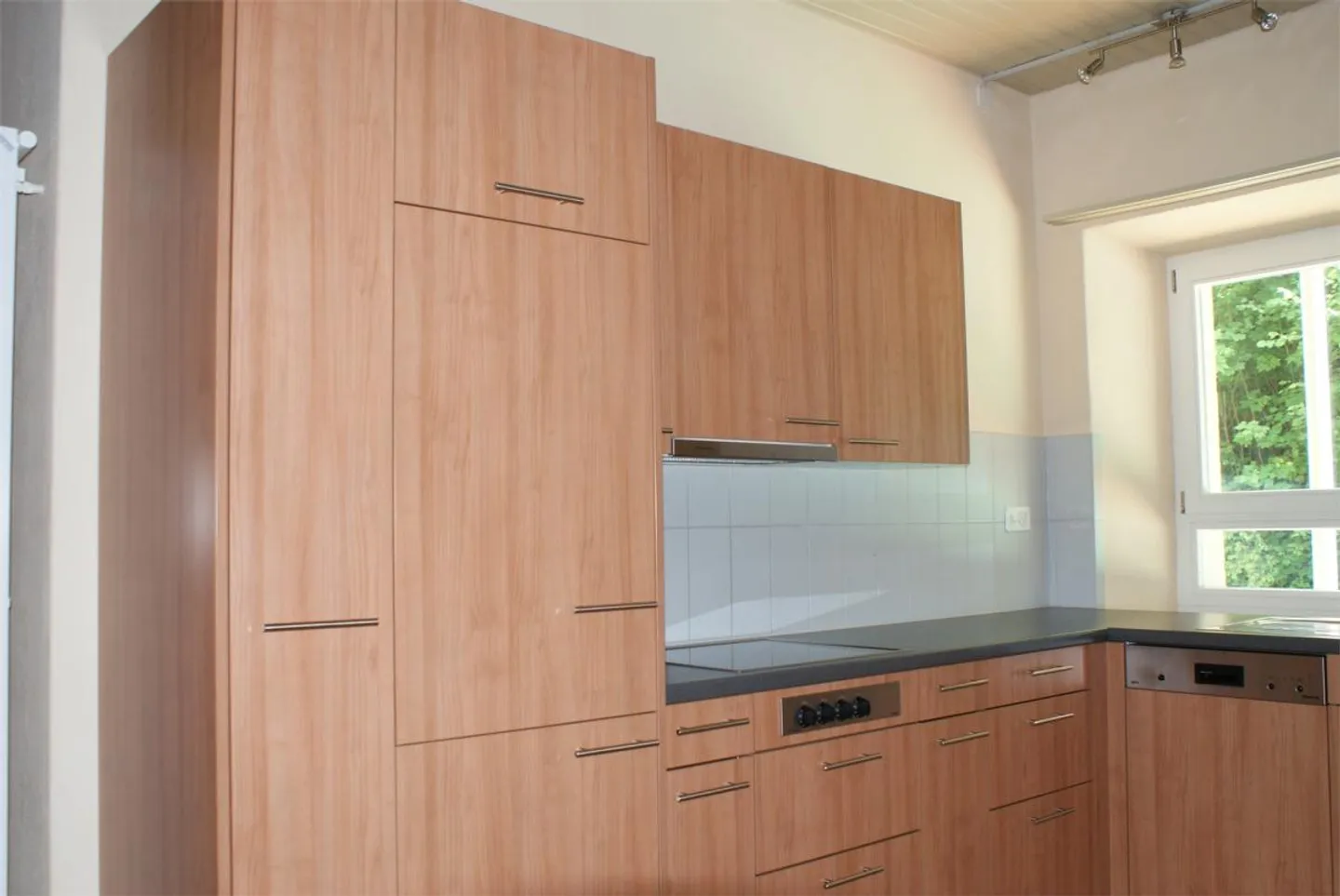 Large 3.5-room apartment outside Laufen in the Bärschwil SO station - Photo 2 of 5