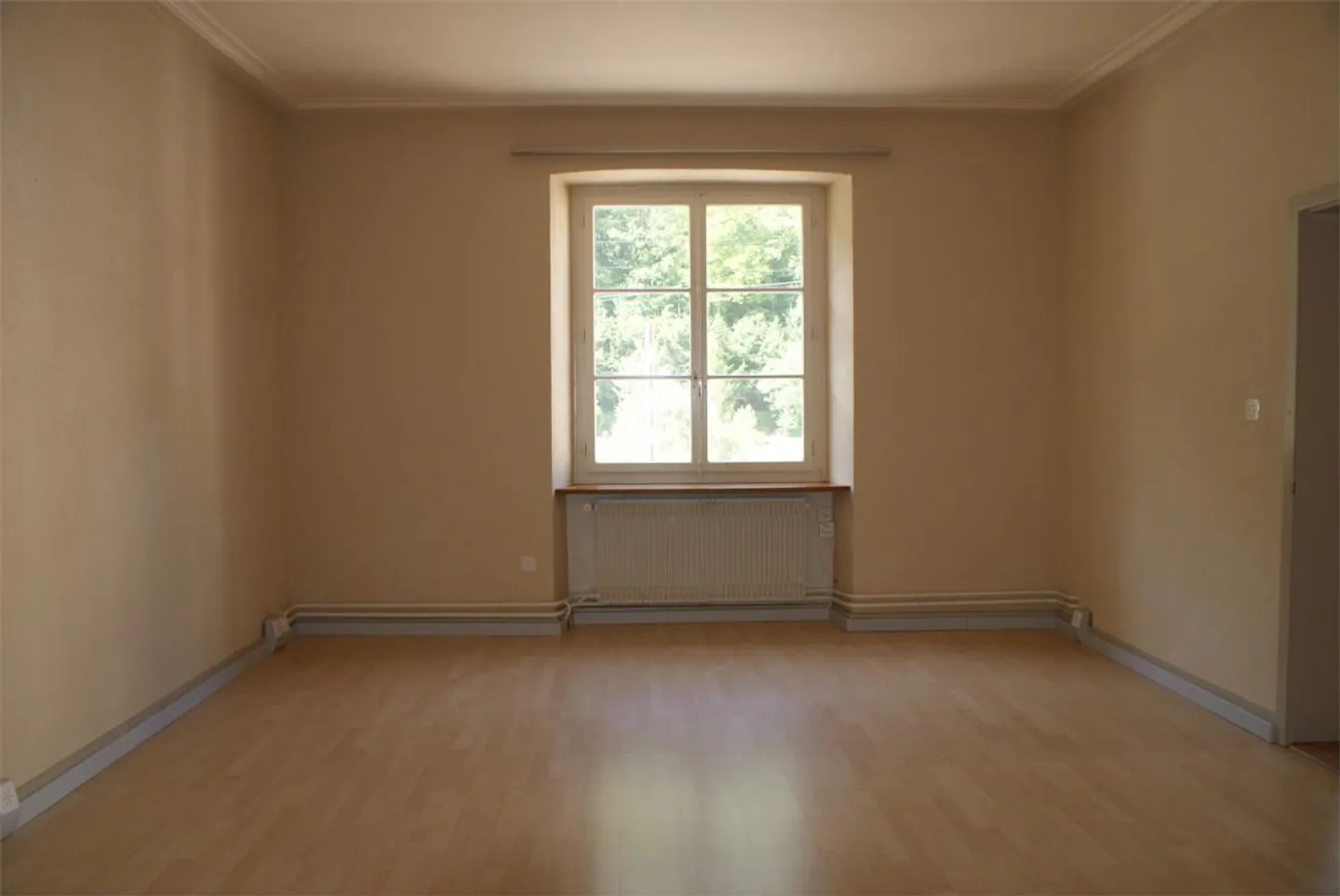 Large 3.5-room apartment outside Laufen in the Bärschwil SO station - Photo 3 of 5