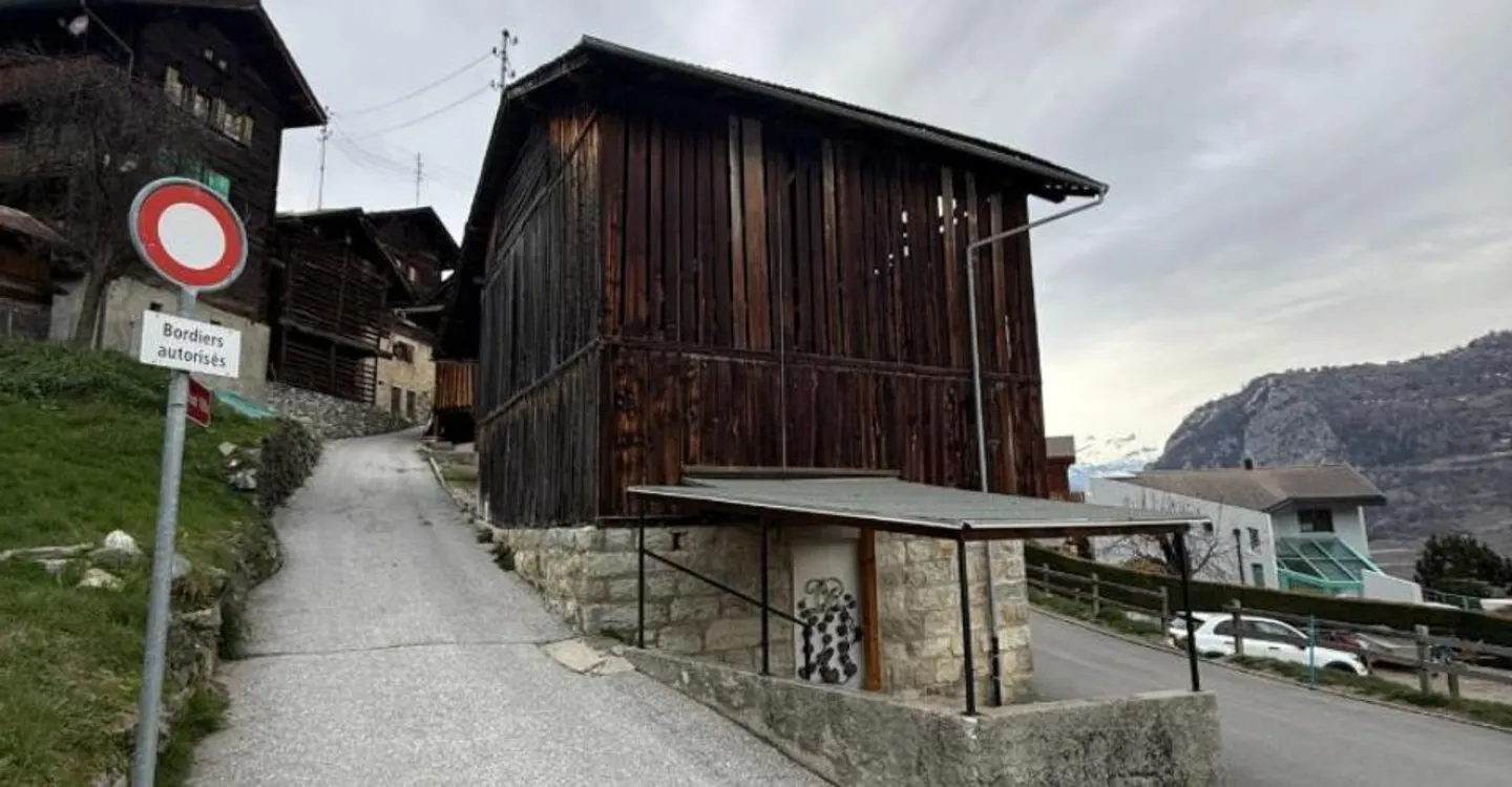 FATTORIA TRASFORMABILE VEX - Foto 11 di 11