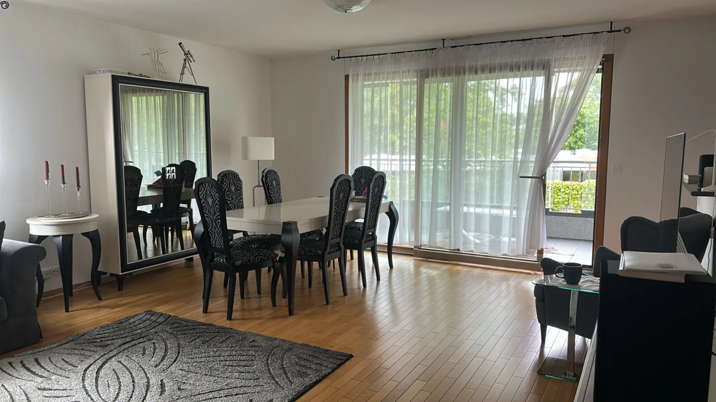 Zu ergreifen! Wunderschöne 6 Zimmer in Lancy/Genf 180m2 großer Balkon + Loggia - Foto 11 von 11