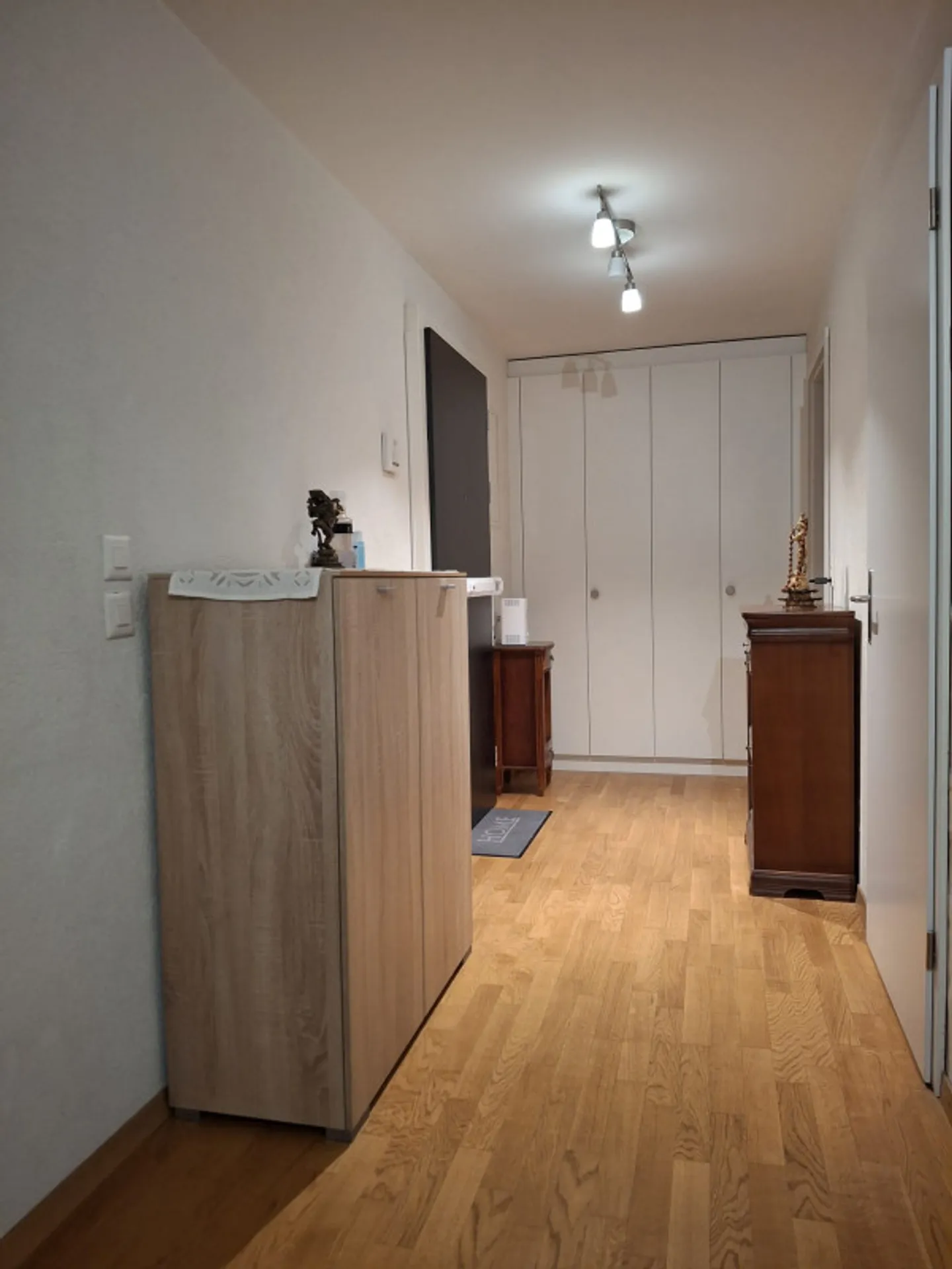 Magnificent 5-room apartment on Rue de Carouge with balcony - Photo 5 of 11