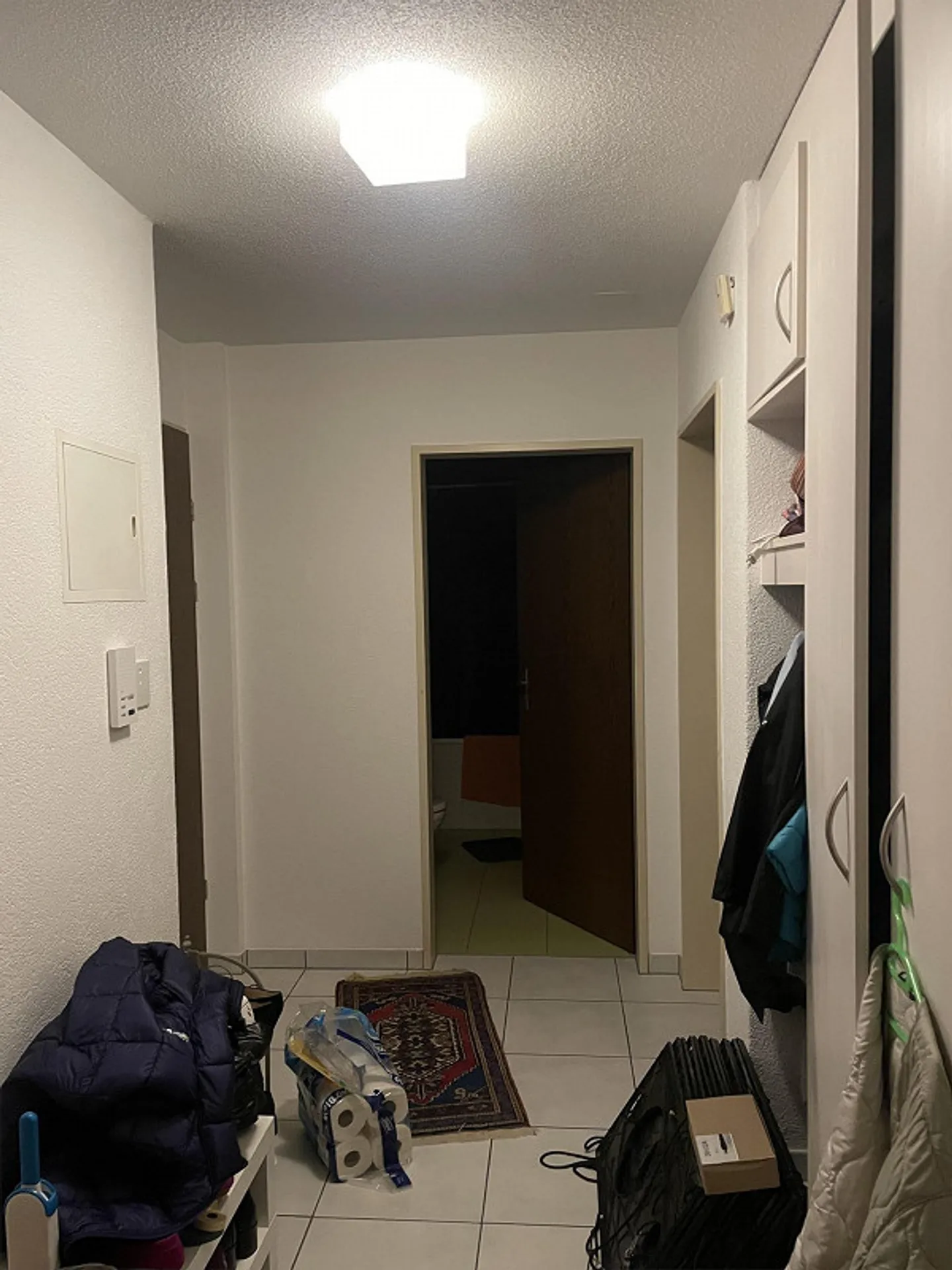 Appartamento soleggiato con 2 camere e balcone ad Aarau vicino all'Aare - Foto 3 di 6