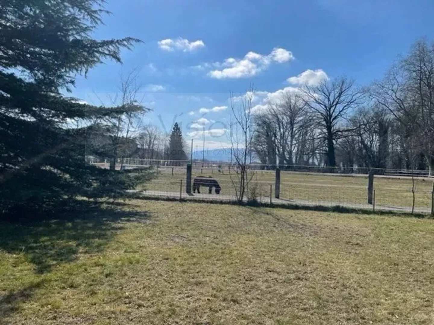 VERO AMORE A PRIMA VISTA - Foto 11 di 11