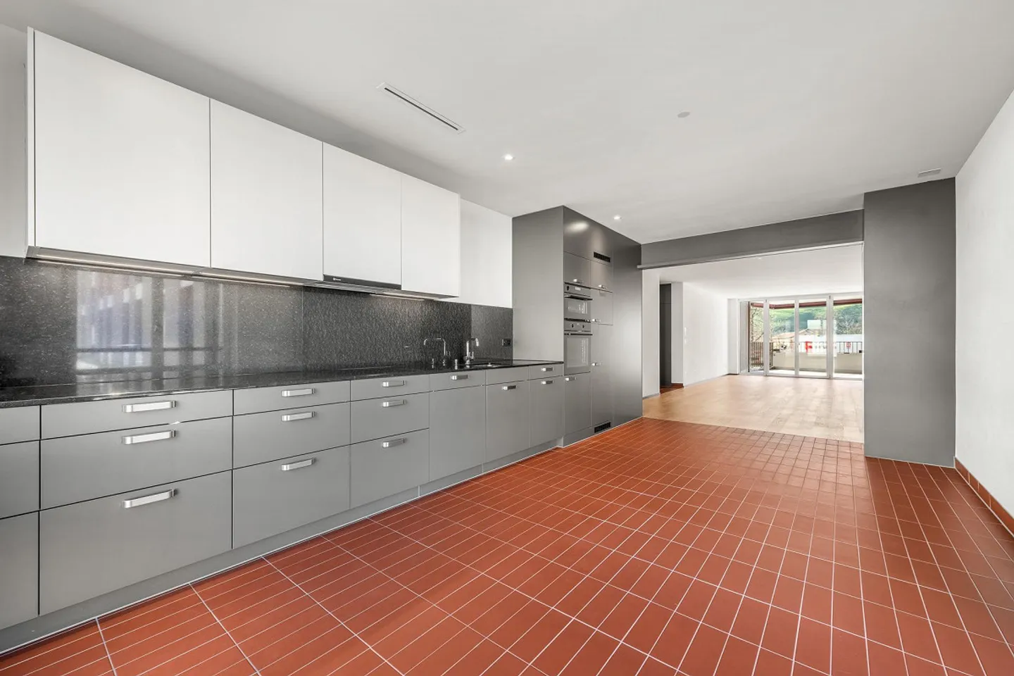 Appartamento moderno sulla Sihl - Foto 3 di 6