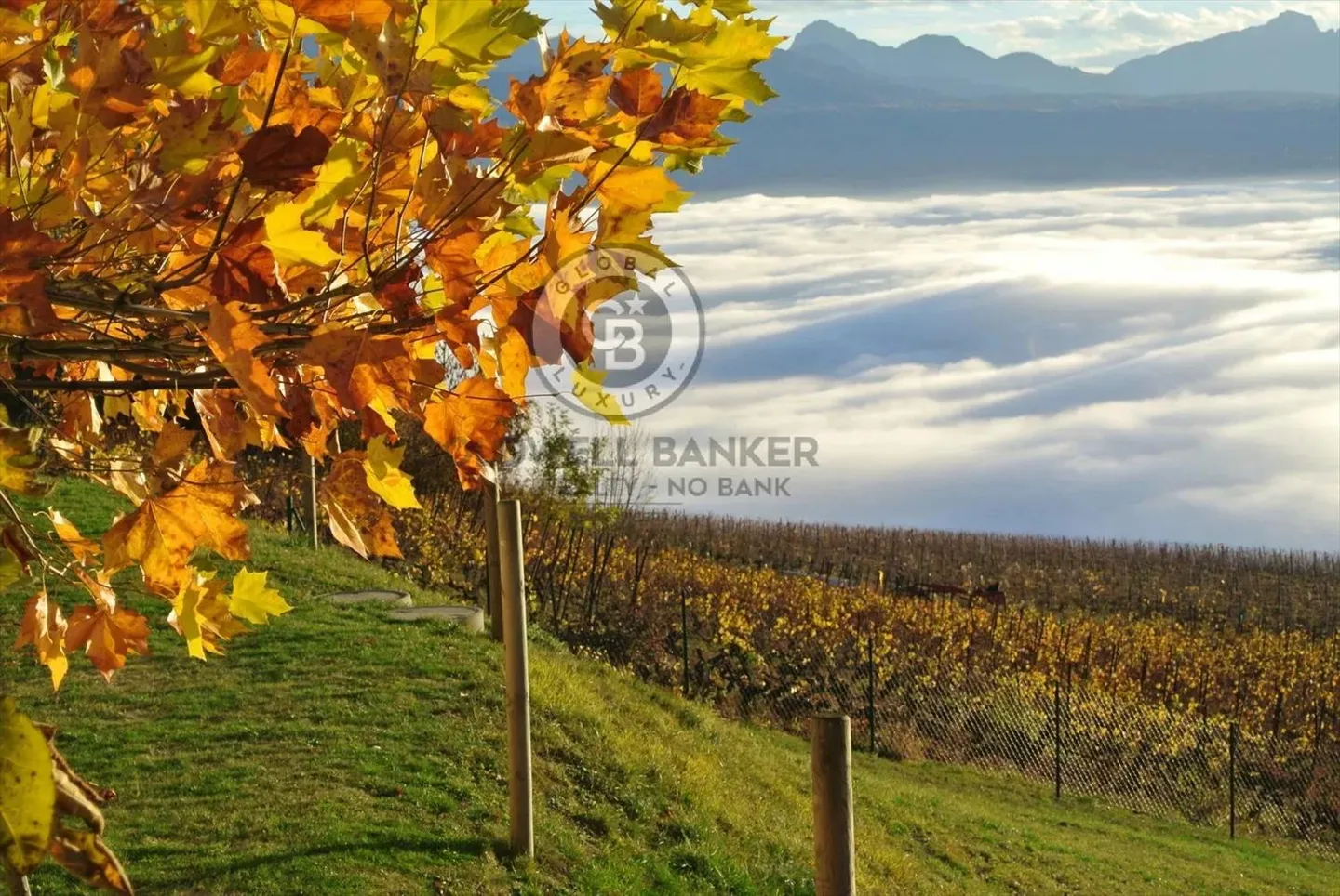 Villa kaufen - Foto 3 von 13