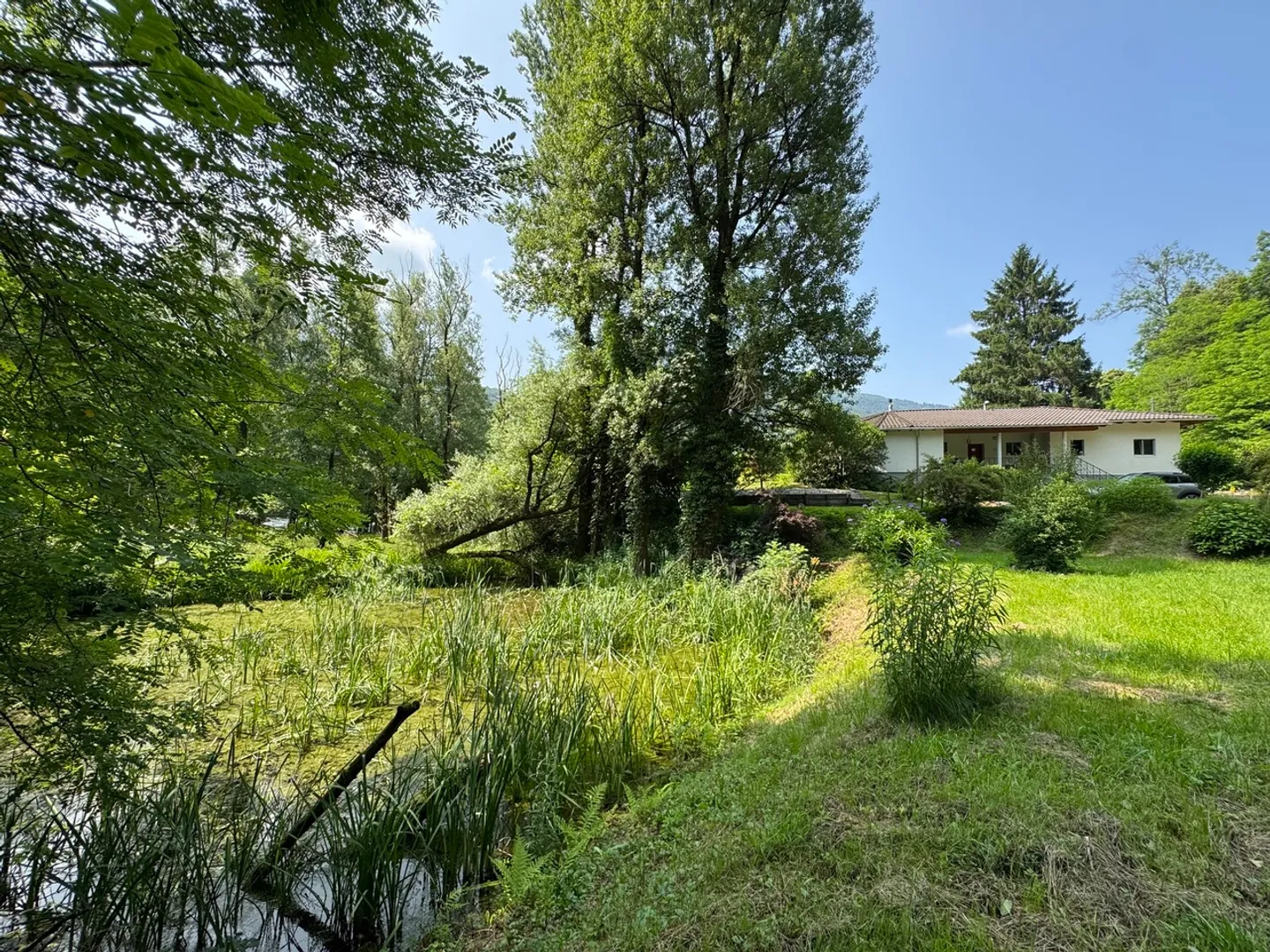Wunderschönes Haus umgeben von einer grünen Lunge - Foto 18 von 20