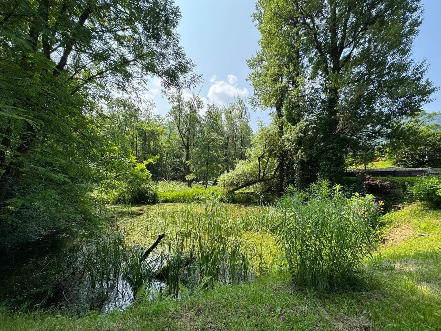 Wunderschönes Haus umgeben von einer grünen Lunge - Foto 19 von 20