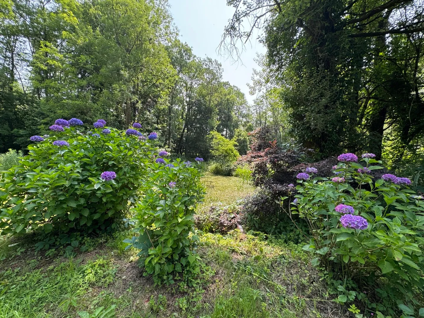 Wunderschönes Haus umgeben von einer grünen Lunge - Foto 20 von 20