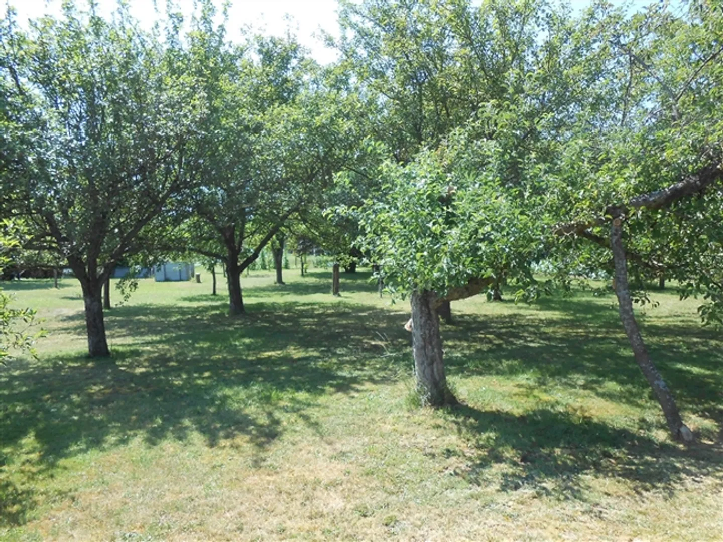 Immobili in vendita, Tutti, in Tutti, Svizzera - Foto 12 di 13