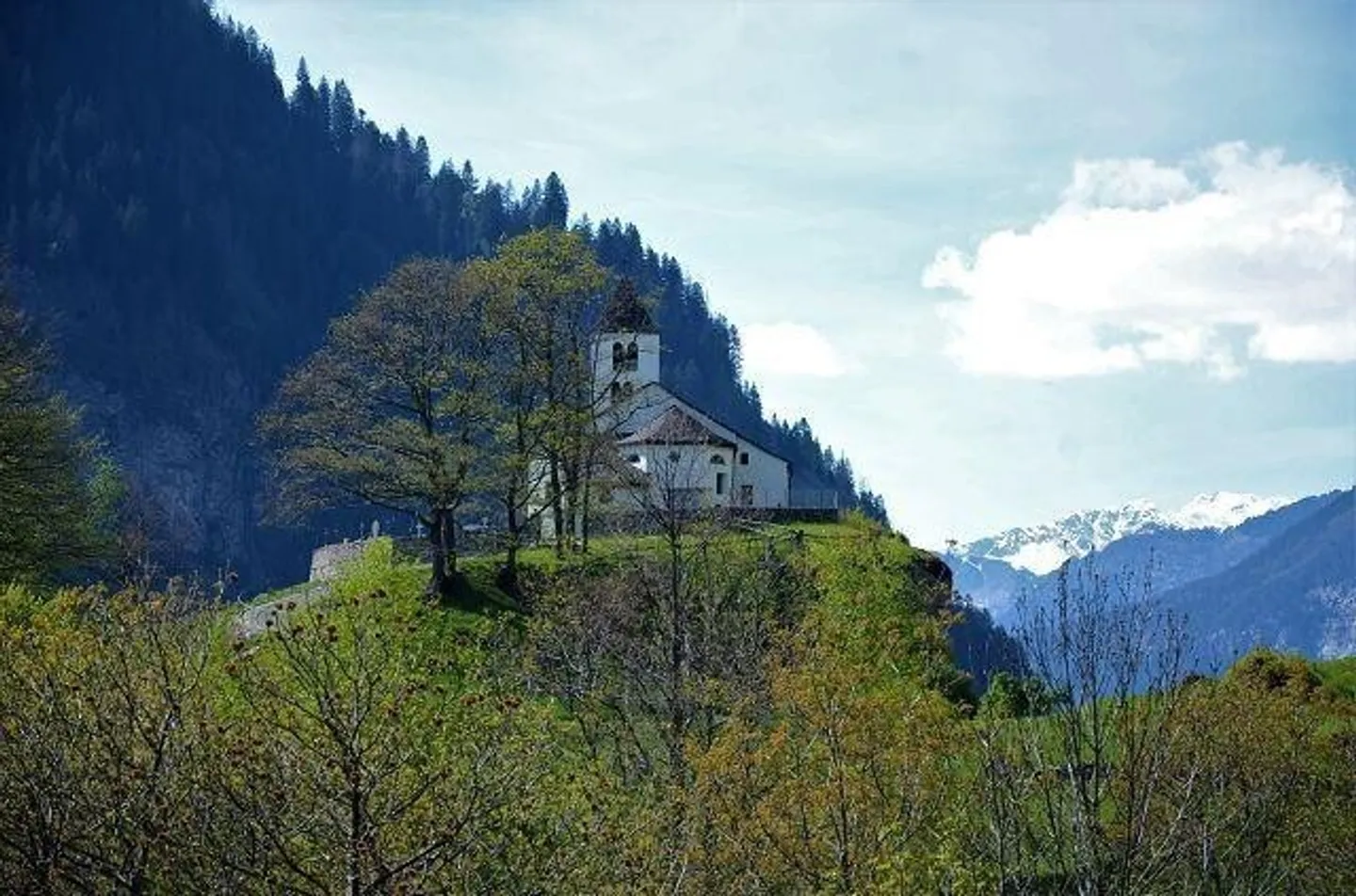 Peaceful Land Plot in Leventina - Photo 5 of 13