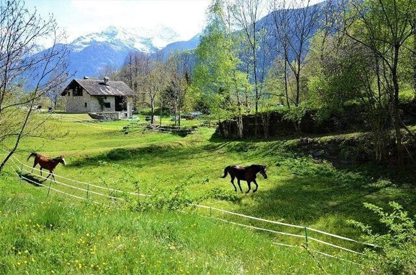 Peaceful Land Plot in Leventina - Photo 7 of 13
