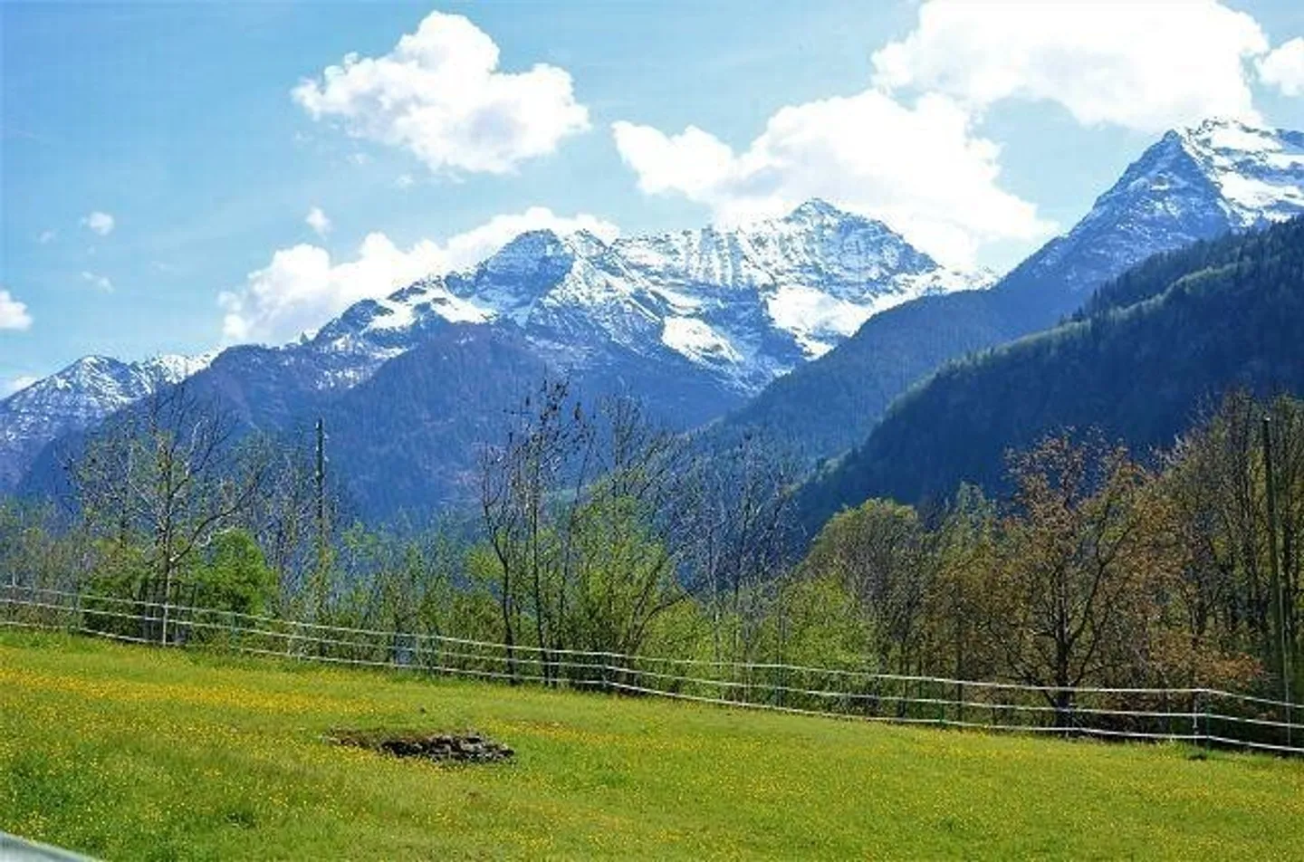 Peaceful Land Plot in Leventina - Photo 10 of 13