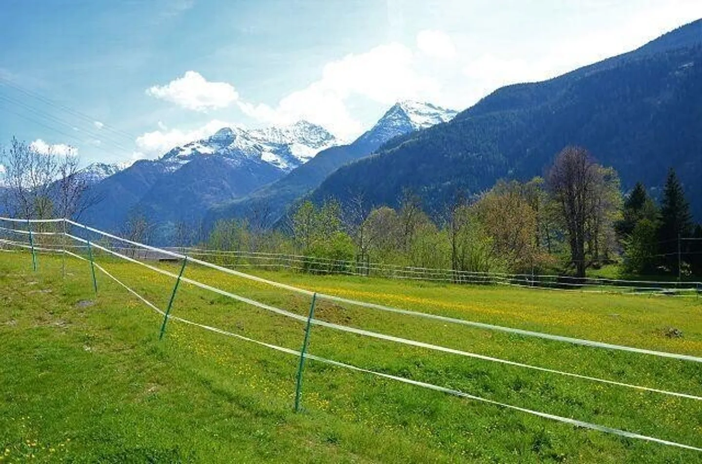 Peaceful Land Plot in Leventina - Photo 11 of 13