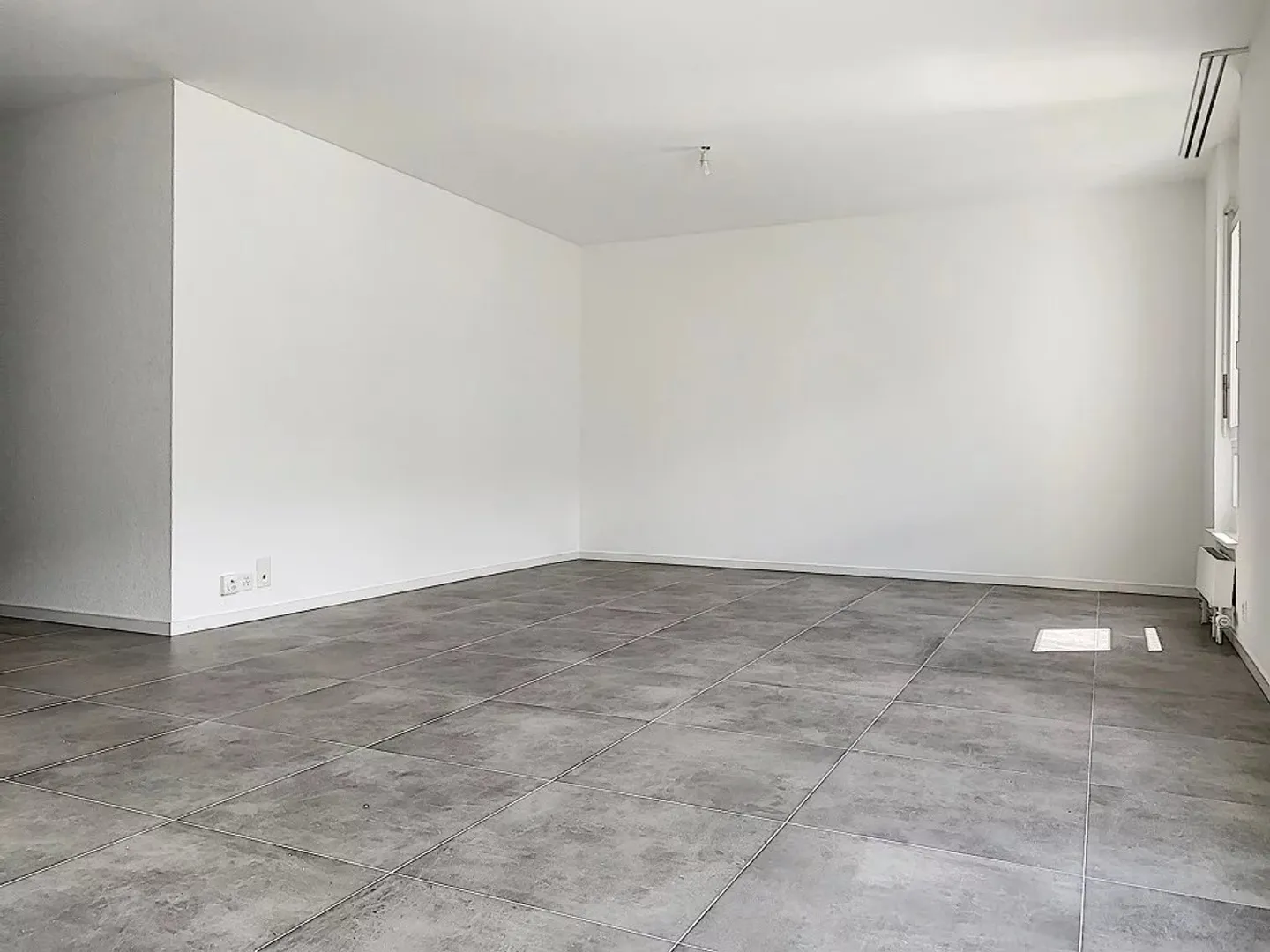 Renovated Apartment in Sion - Photo 3 of 8