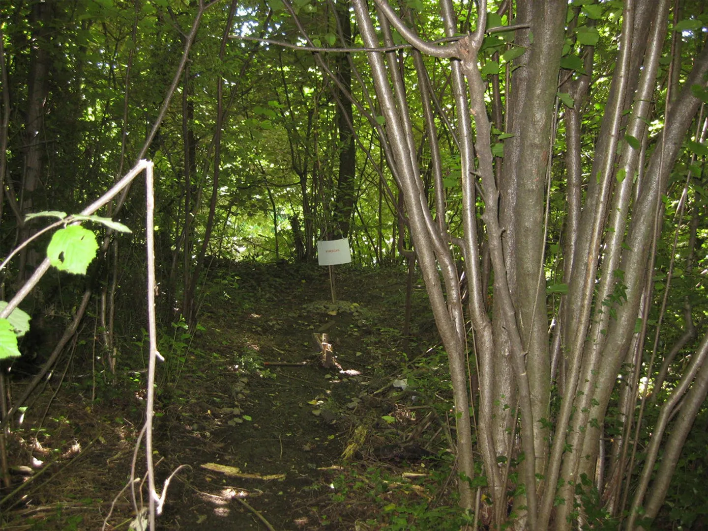 EXPÉRIENCE DE VIE INHABITUELLE DANS UN DÉVELOPPEMENT UNIQUE AVEC ACCÈS AU LAC - Photo 26 sur 27