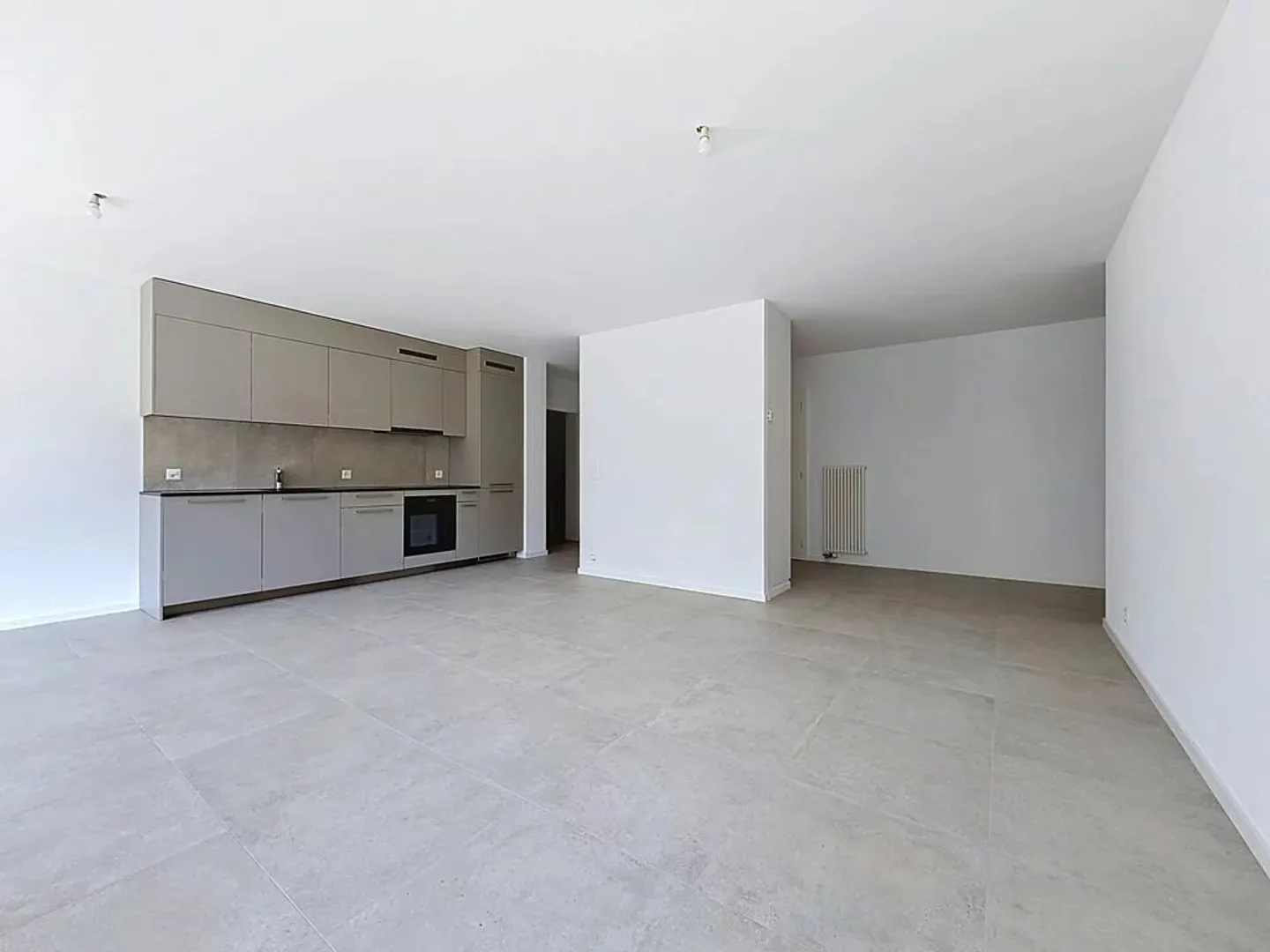 Renovated Apartment in Sion - Photo 3 of 10