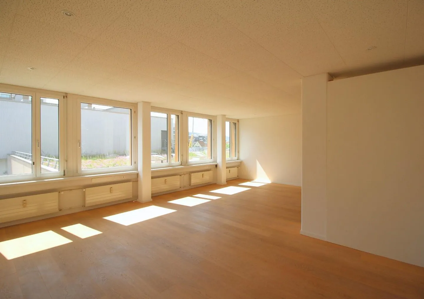 Charming Office in Limmatfeld - Photo 1 of 6