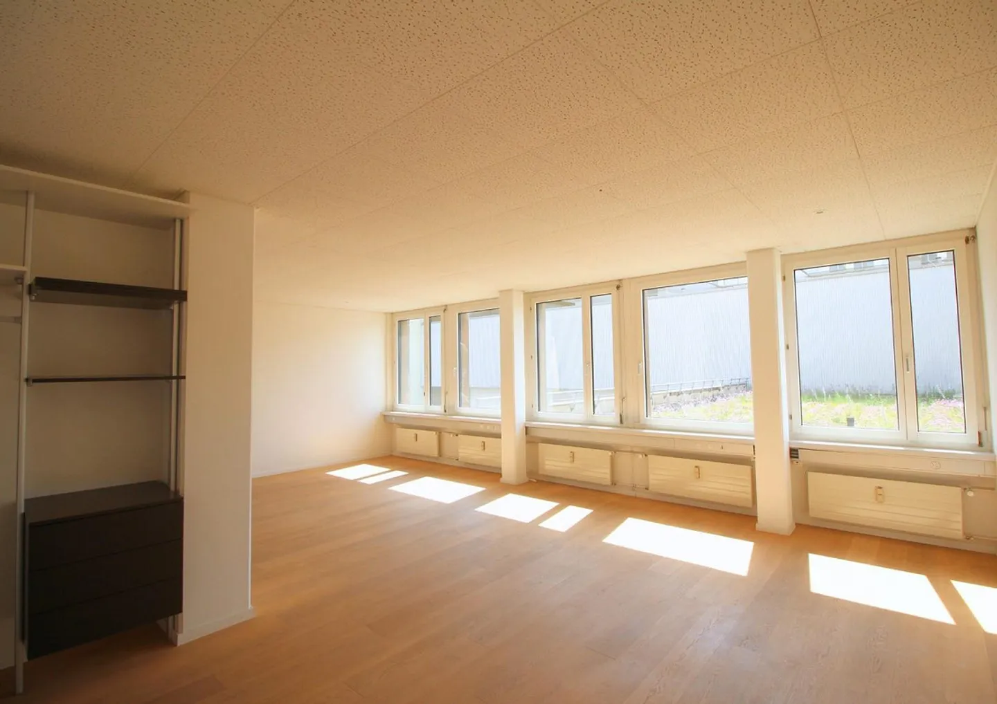 Charming Office in Limmatfeld - Photo 3 of 6