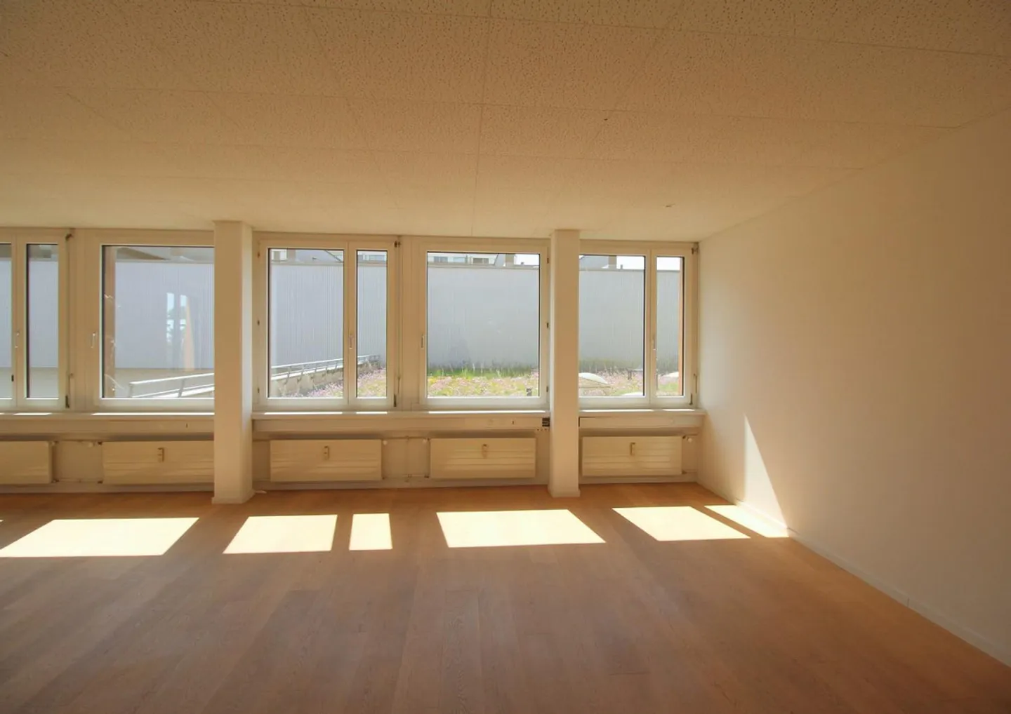 Charming Office in Limmatfeld - Photo 4 of 6