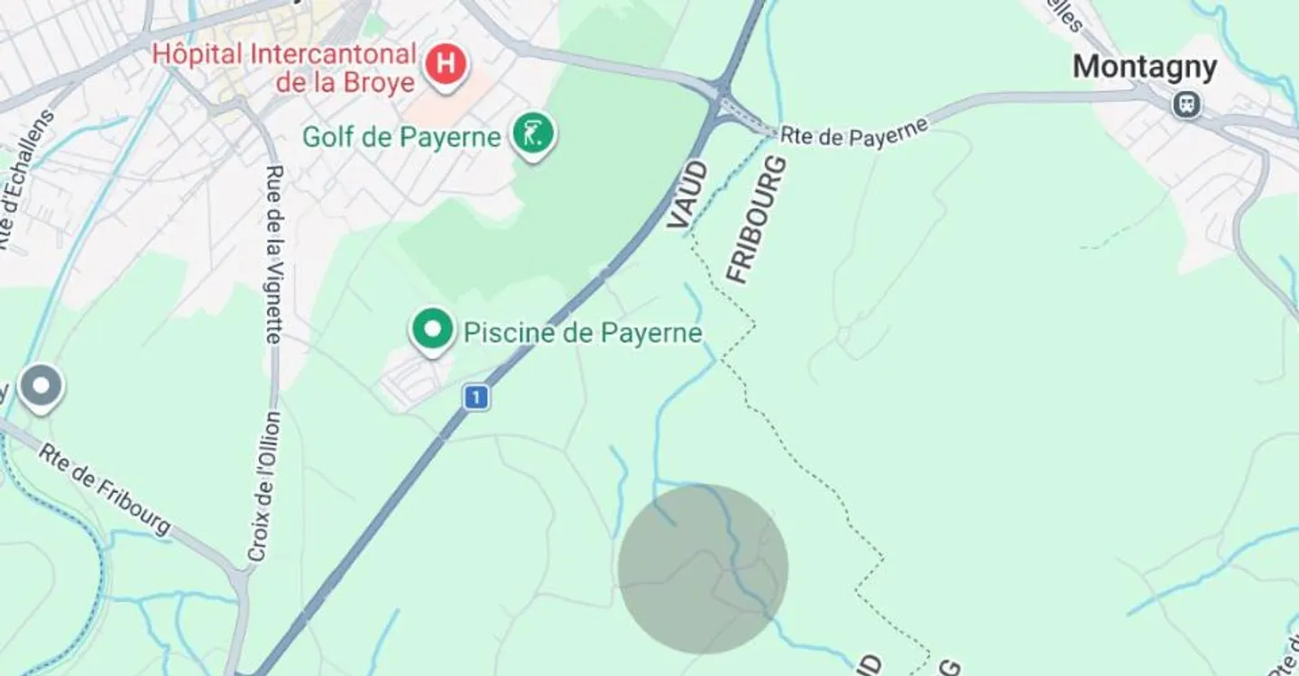 UNE PROPRIÉTÉ HORS NORME. LOYER ENVIRON 1'400 CHF-mois - Photo 2 sur 12