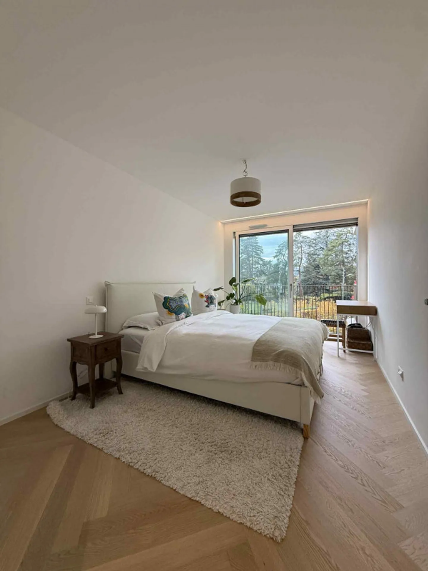 URGENCE - PRISE EN CHARGE DU CONTRAT DE LOCATION : MAGNIFIQUE APPARTEMENT PENTHOUSE 3 PIÈCES À VESSY (GENÈVE) - Photo 3 sur 6