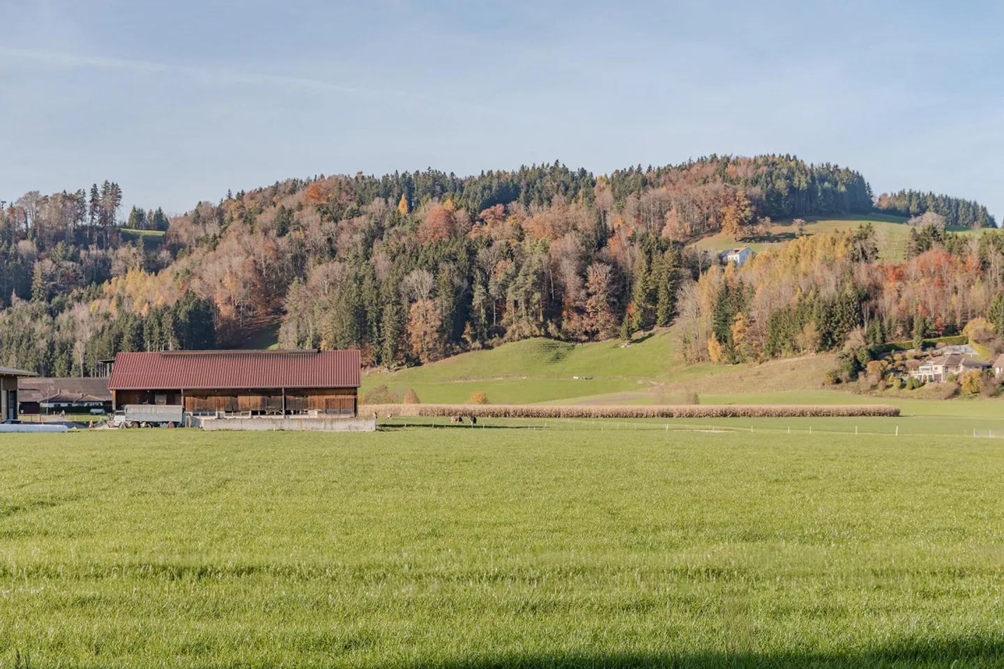 Vivere nel verde con stile e comfort - Foto 9 di 9