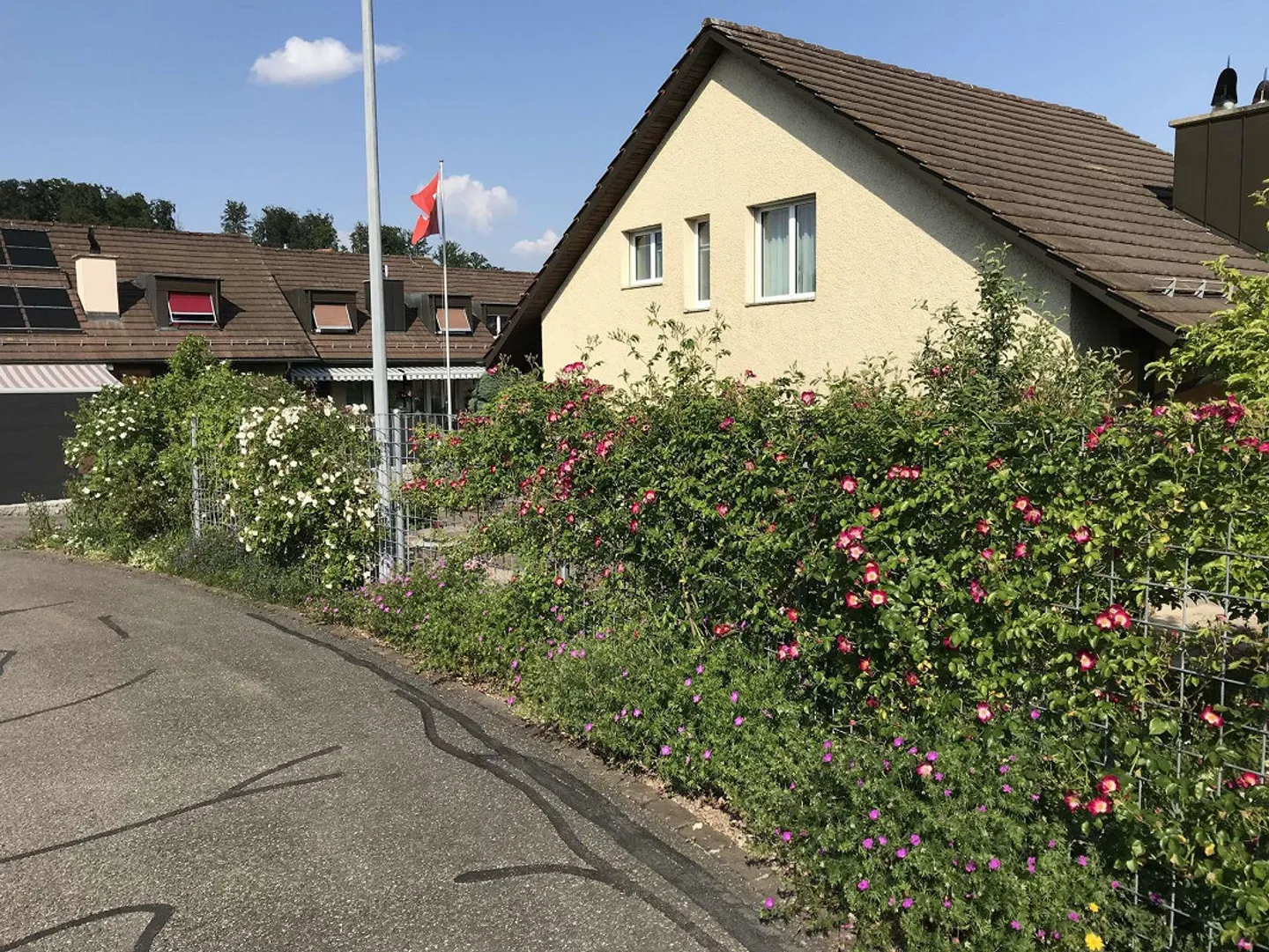 Casa unifamiliare indipendente di 5,5 stanze a Nürensdorf - La tua casa... - Foto 12 di 13