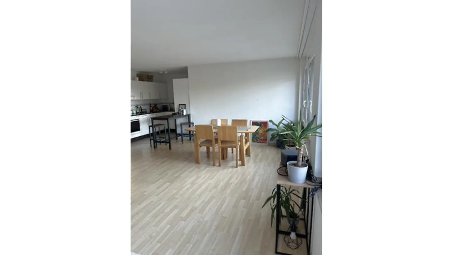 2½ ROOM APARTMENT IN ZURICH - DISTRICT 11, FURNISHED, TEMPORARY - Photo 2 of 9