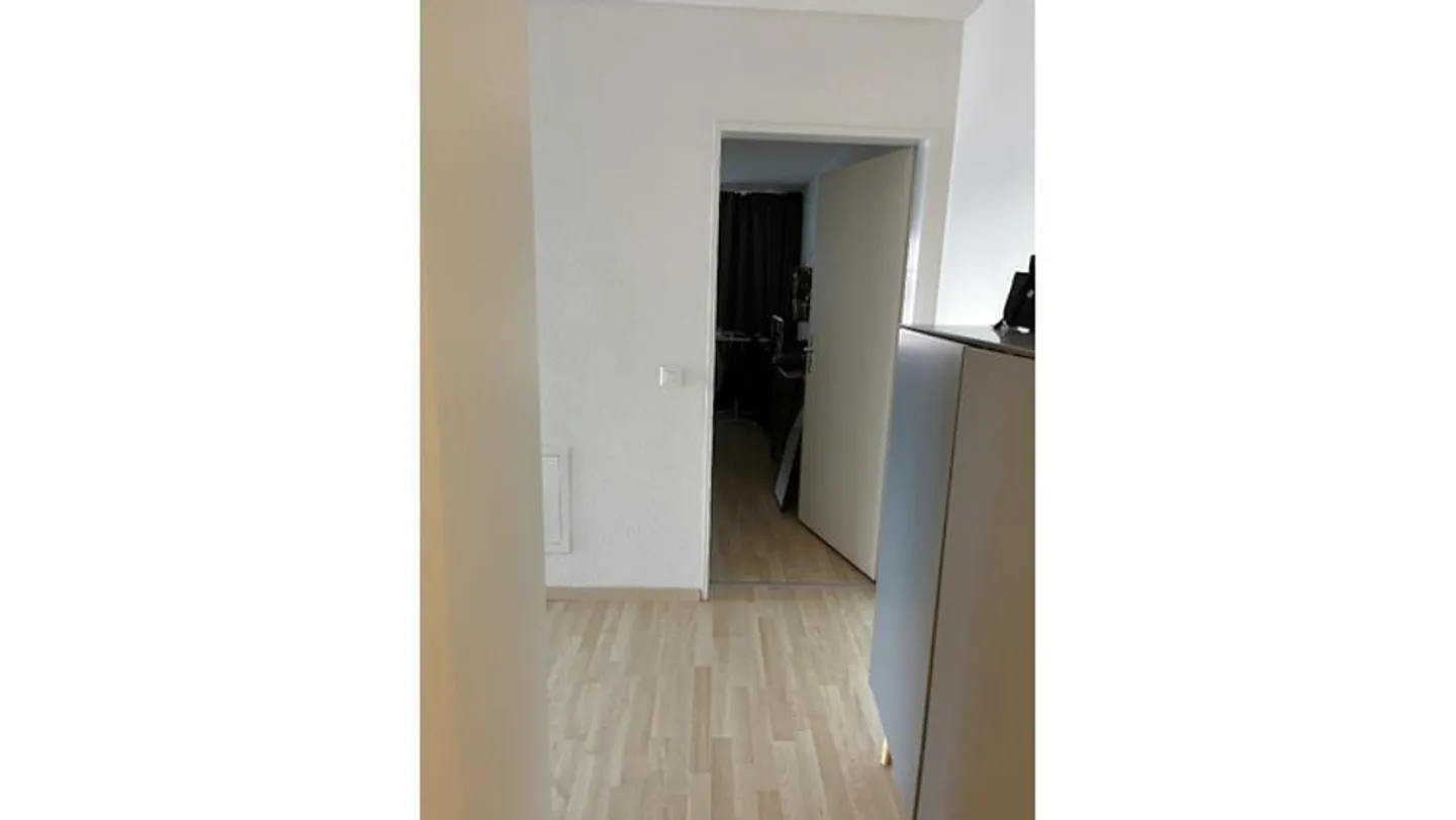 2½ ROOM APARTMENT IN ZURICH - DISTRICT 11, FURNISHED, TEMPORARY - Photo 8 of 9