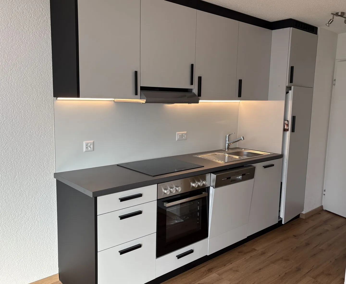 Renovated, partially furnished 1-room apartment - Photo 2 of 6