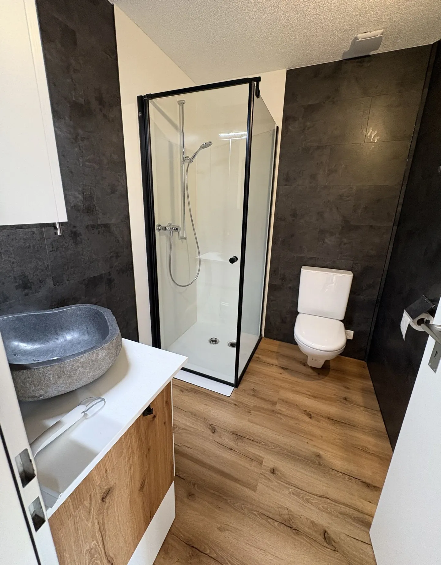 Renovated, partially furnished 1-room apartment - Photo 5 of 6