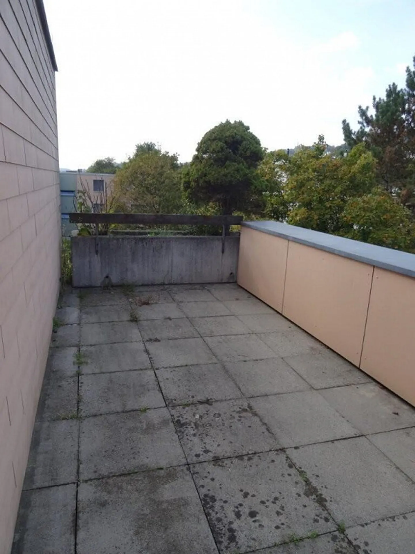 Living Oasis in Buchs ZH - Photo 7 of 7