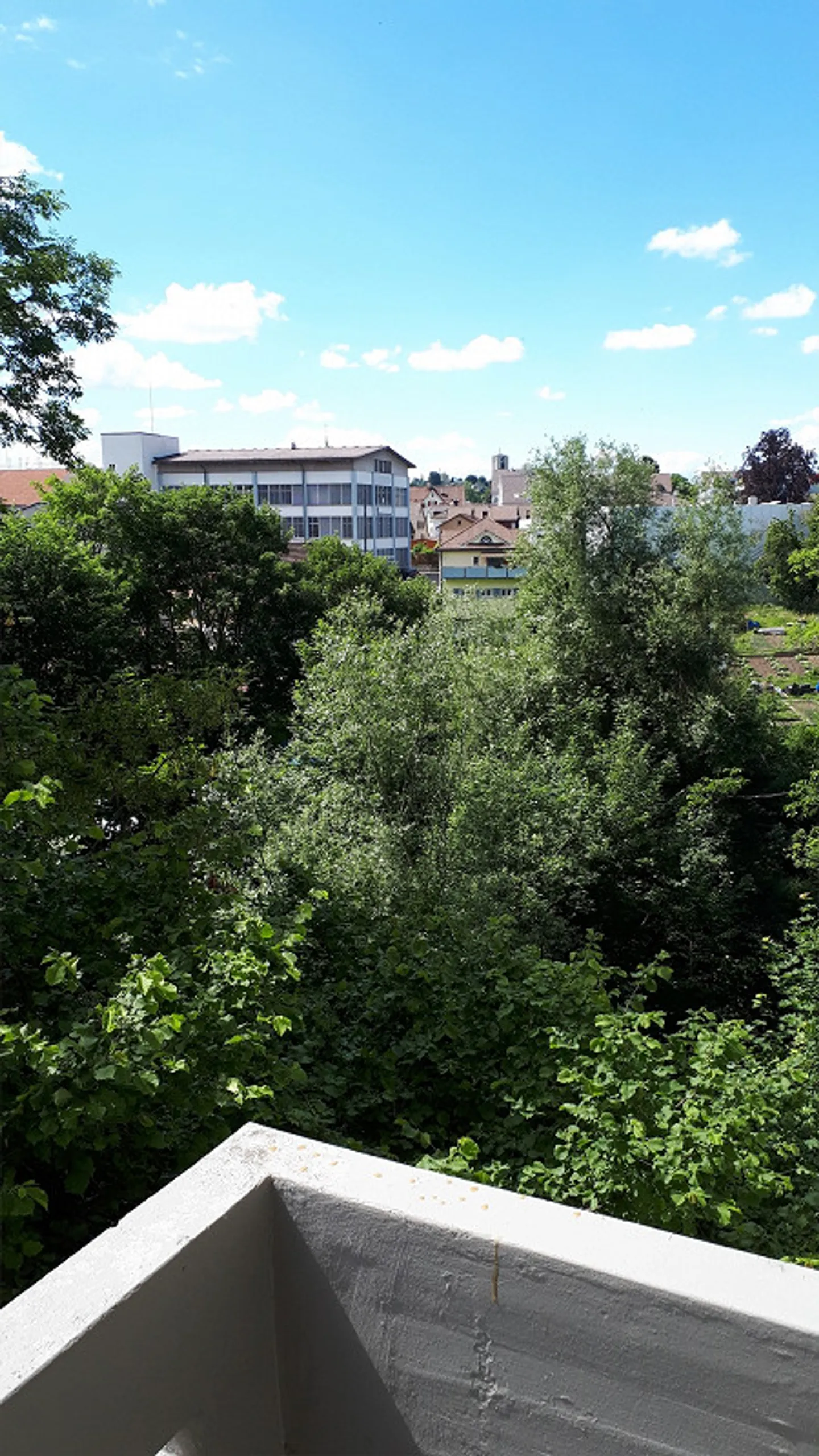 Appartement 1 pièce confortable - Photo 2 sur 6