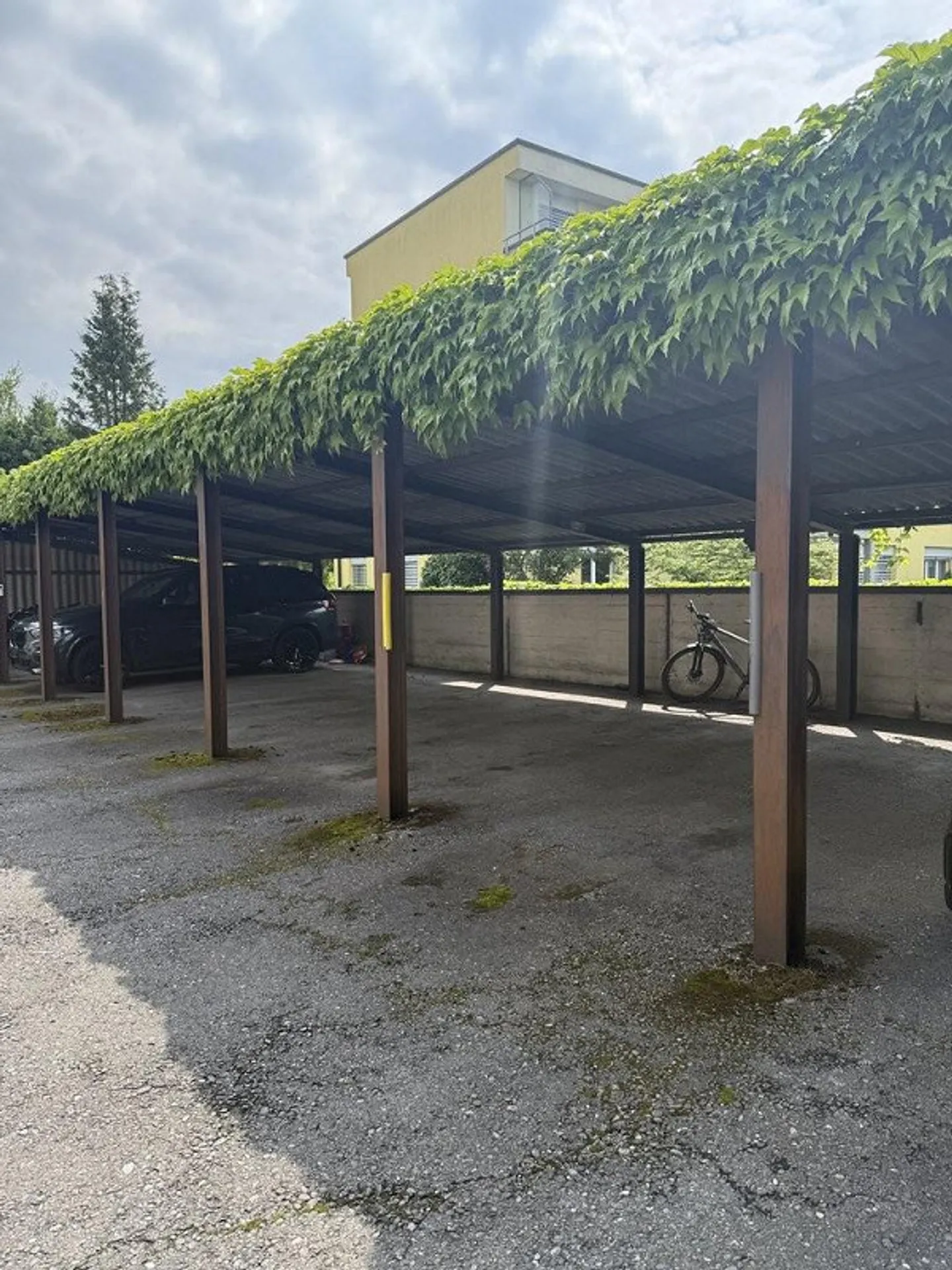 GEDECKTER ABSTELLPLATZ IN THUN ZU VERMIETEN - Photo 3 of 3