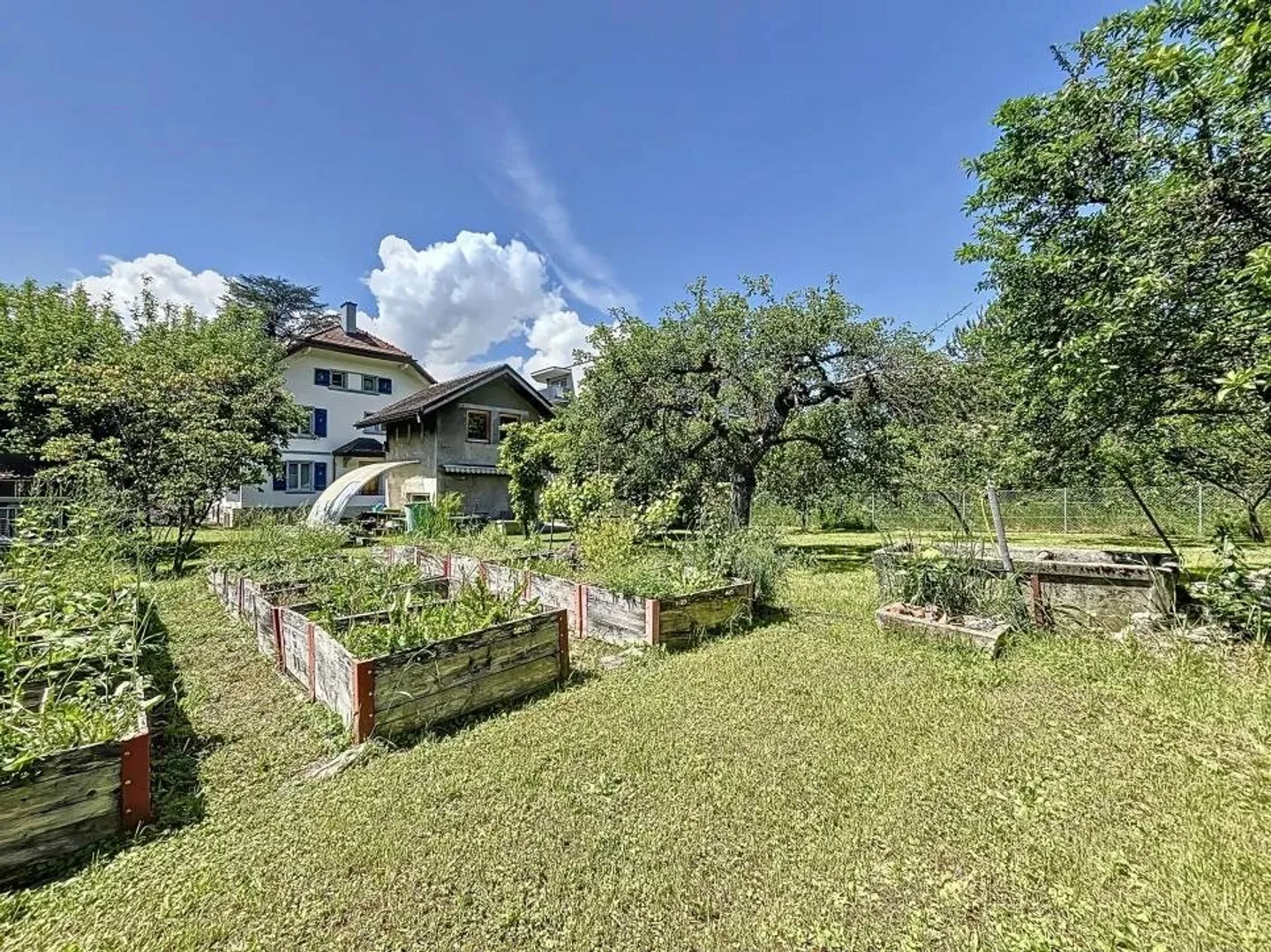 Casa con potenziale di sviluppo in vendita! - Foto 5 di 13
