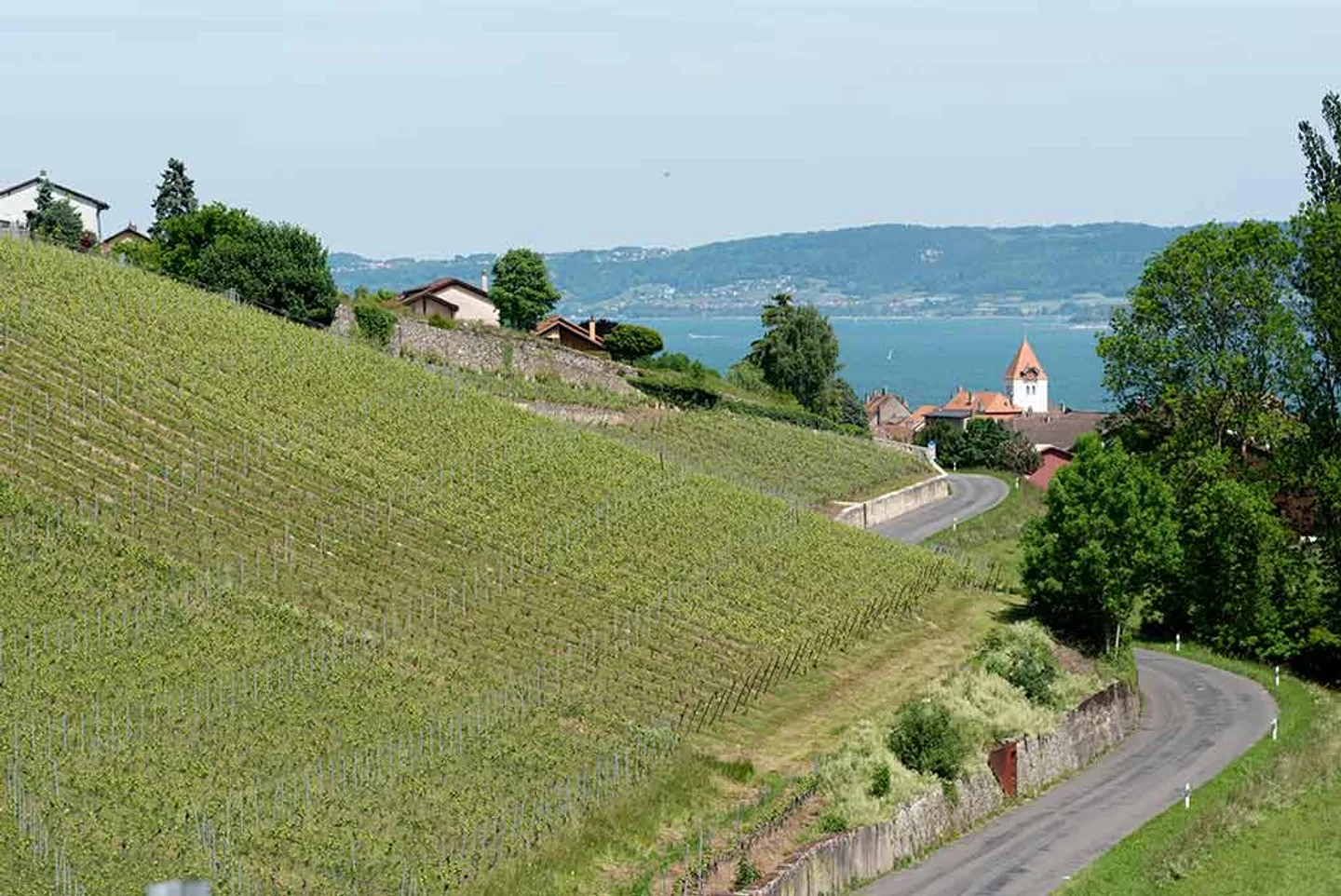 5.5 Room Apartment - Photo 7 of 8