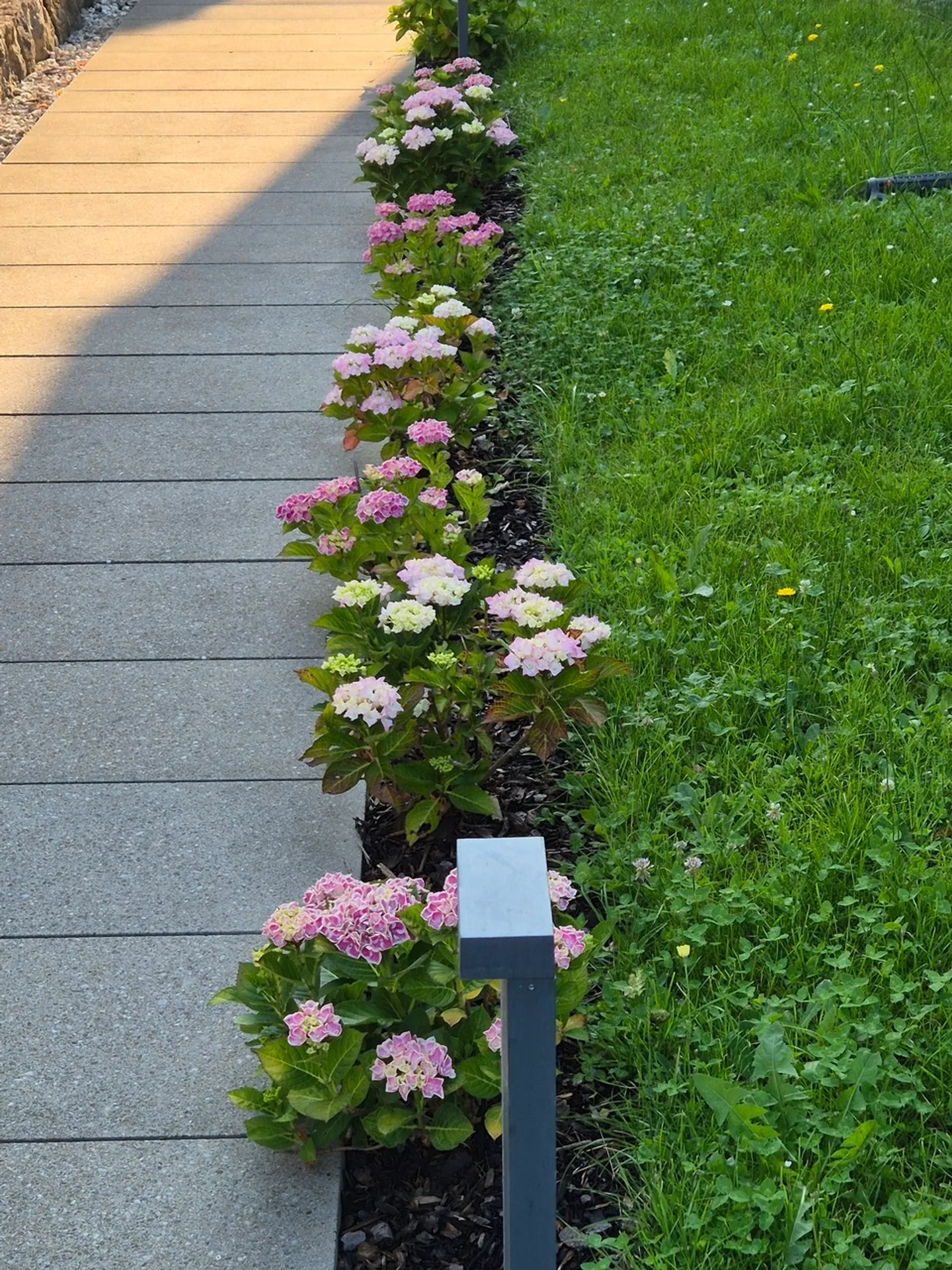 Wunderschöne 4 1/2 Zimmer-Terrassenwohnung mit grandioser Aussicht! - Foto 20 von 21