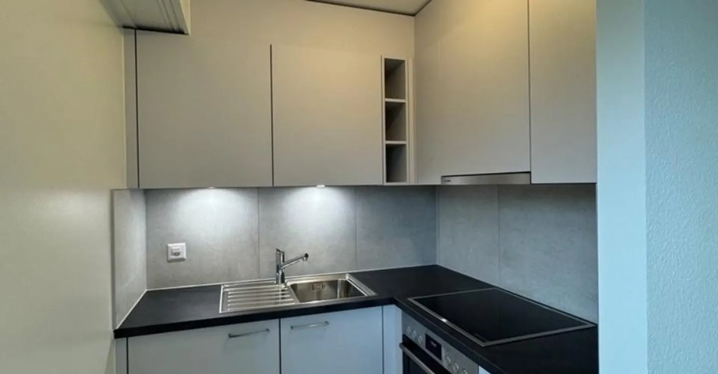 Magnificent 2.5 rooms on the 2nd floor of 54 m2 renovated - Photo 2 of 7
