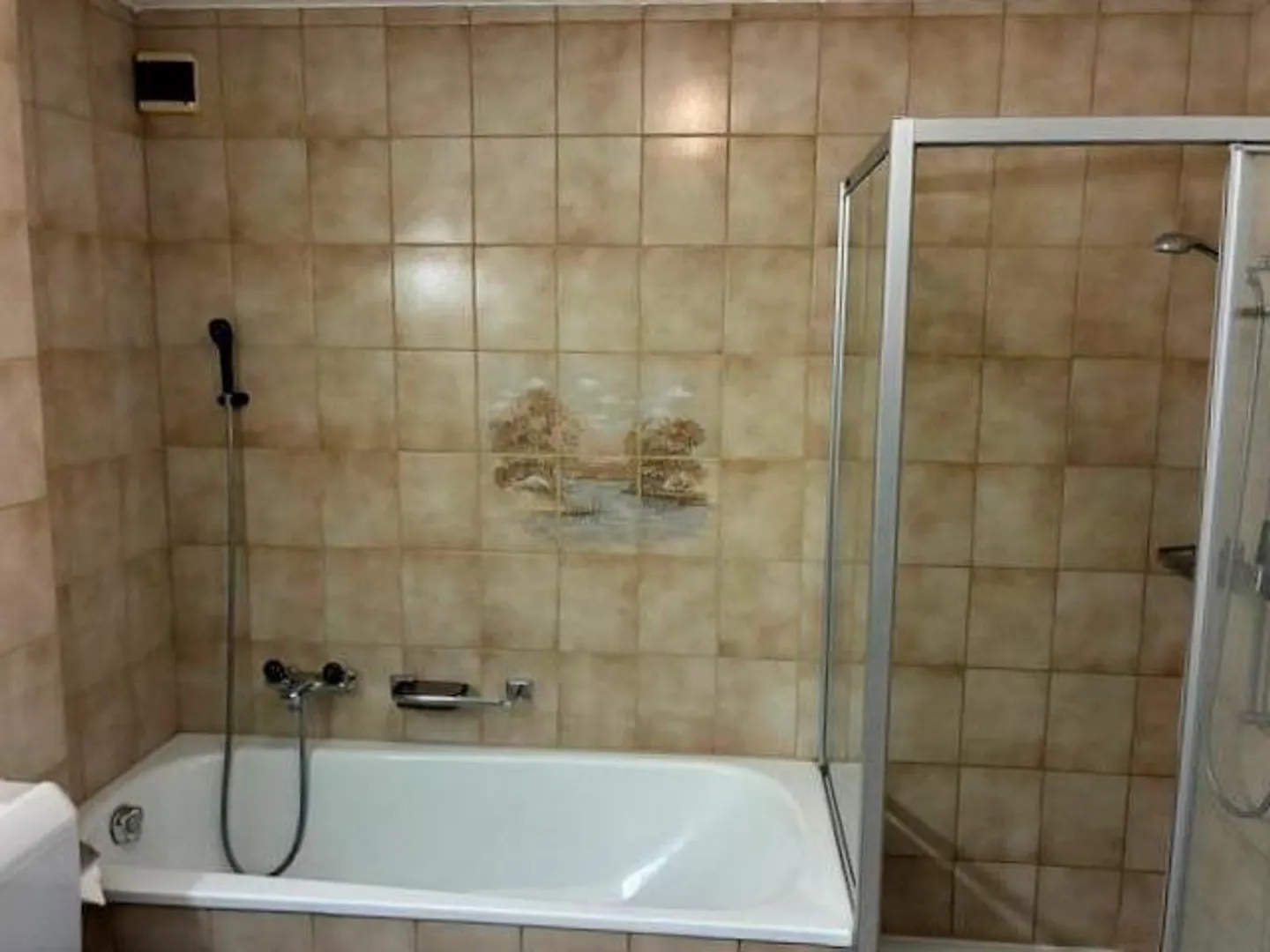 Tolle, ruhige Wohnung mit grossem Balkon - Foto 8 von 14