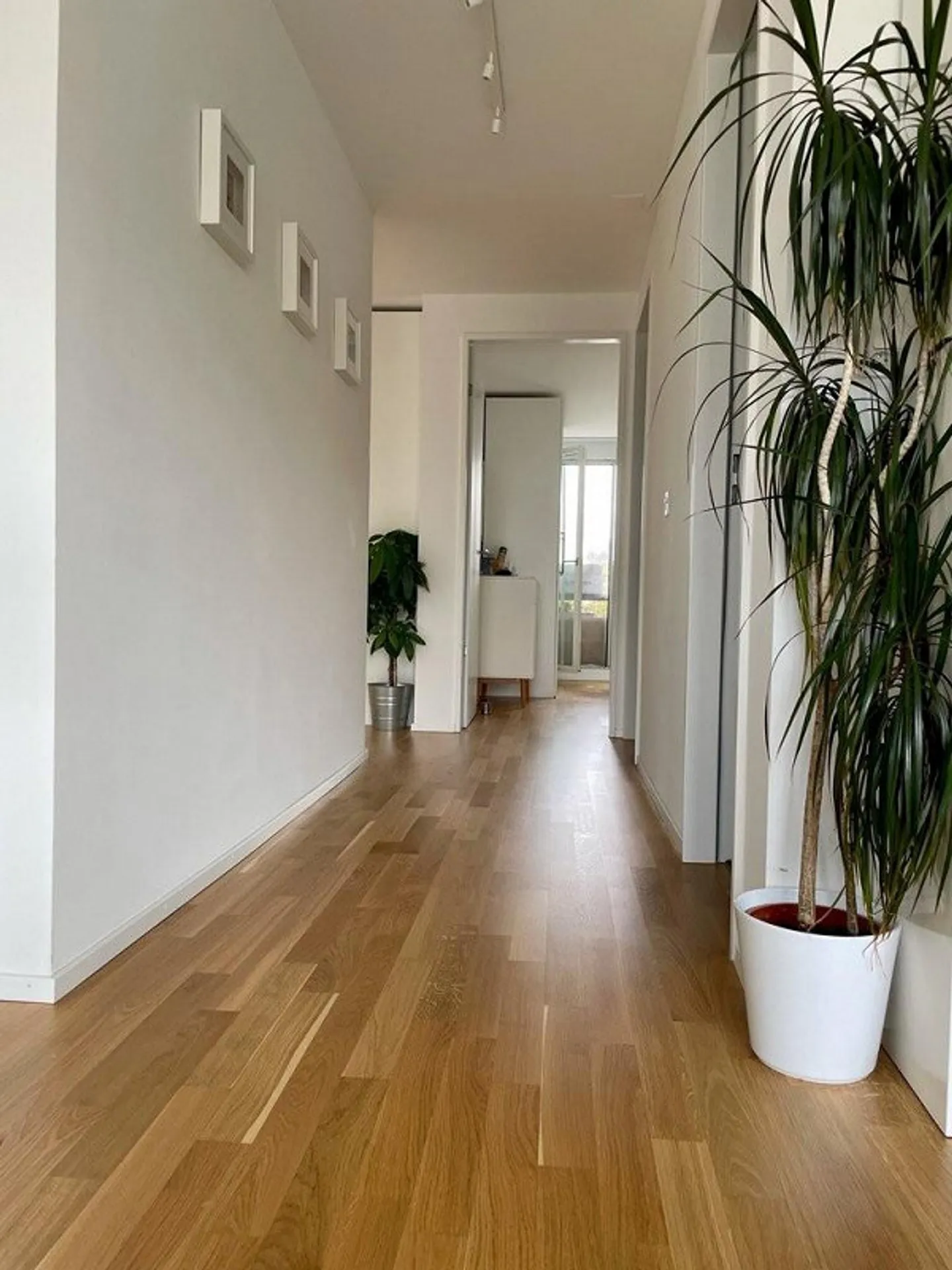 Grande terrasse sur le toit avec vue sur le Rhin - Photo 8 sur 11