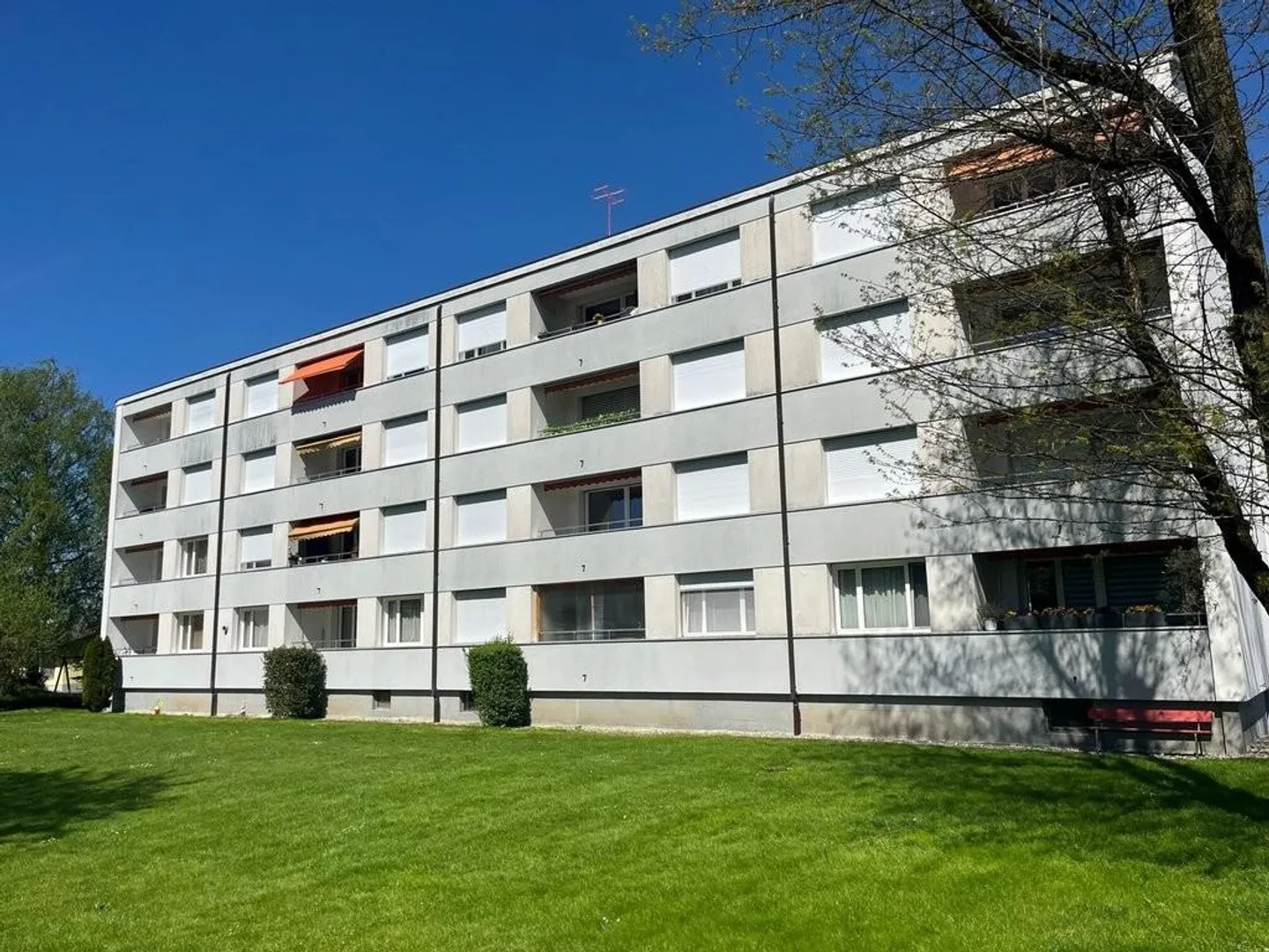 Charmante Wohnung in Aarberg - Foto 7 von 7