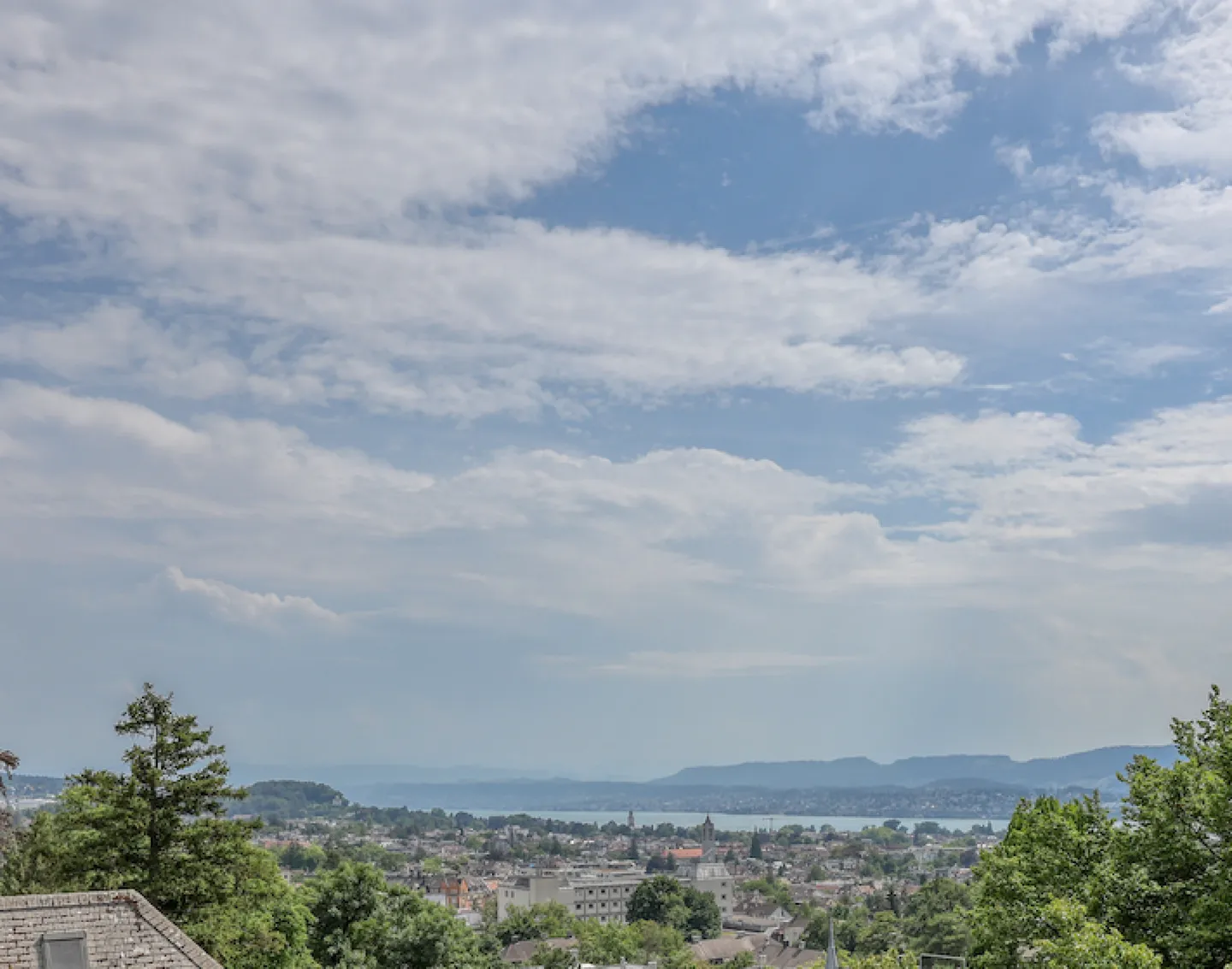 Casa unifamiliare sul Zürichberg con vista spettacolare sui tetti di Zurigo - Foto 6 di 6