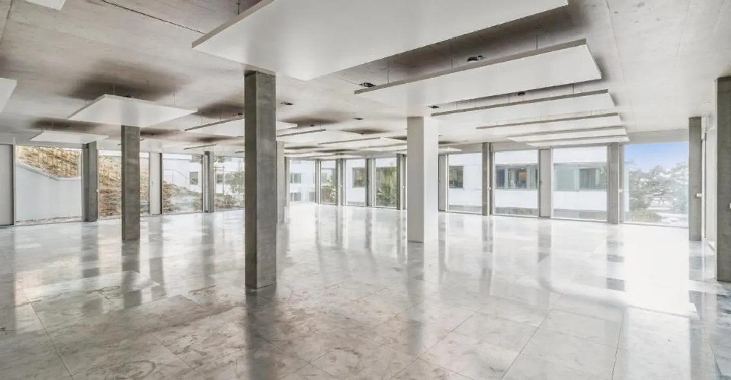 Prestigebüros zu vermieten - Avenue de Rhodanie in Lausanne - 536m2 - Foto 7 von 9