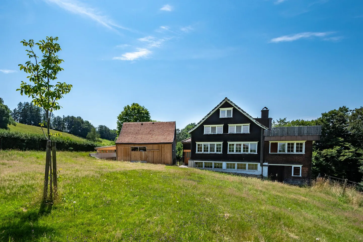 Traditional Appenzeller House in the Midst of Unique Countryside - Photo 3 of 32