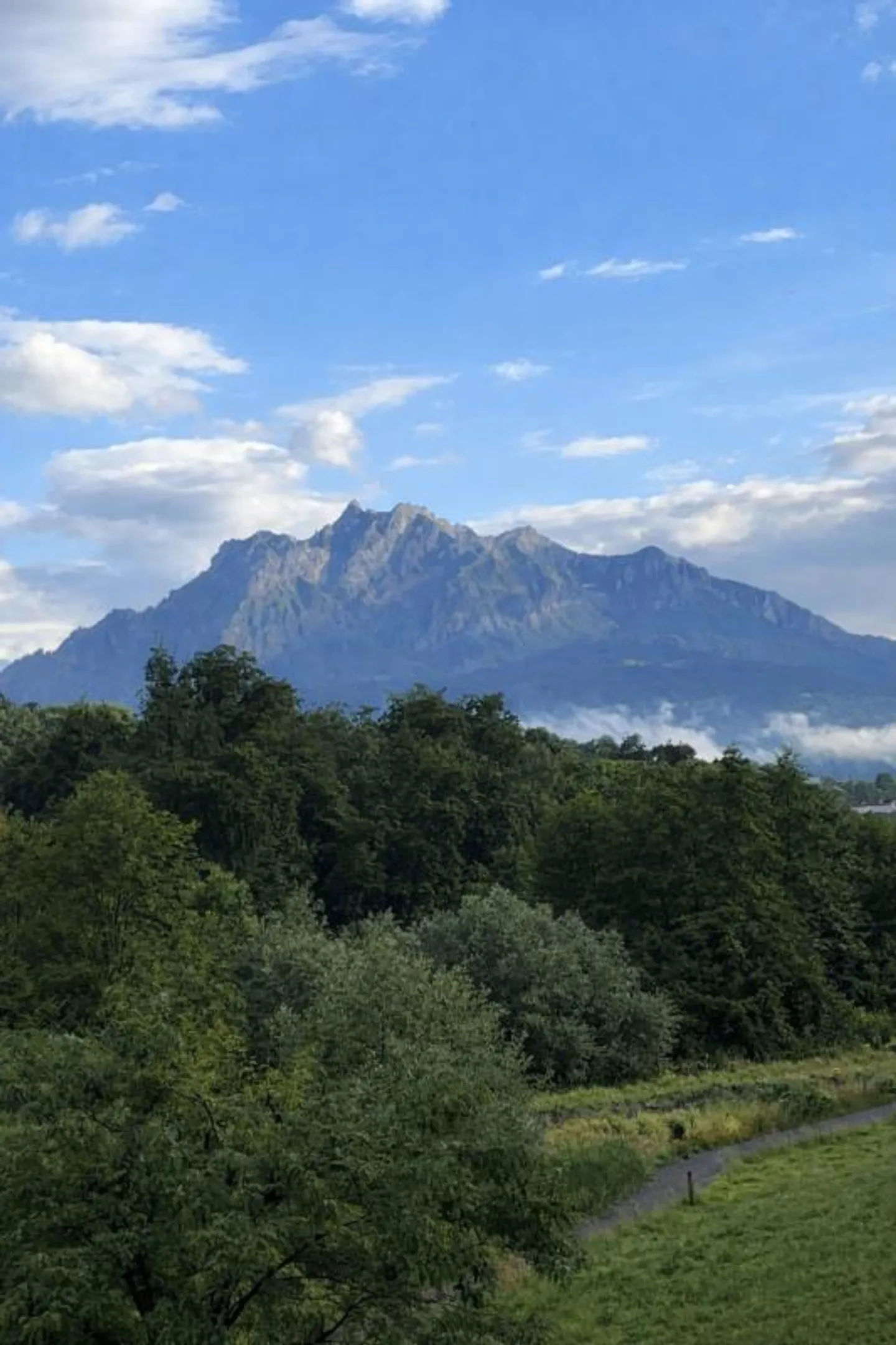 Appartamento 3.5 camere a contatto con la natura - Foto 14 di 14